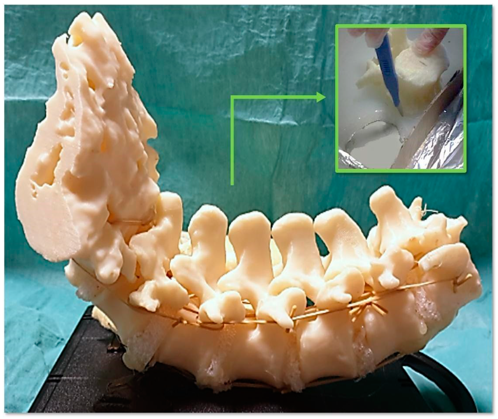 Bioengineering 10 01345 g002
