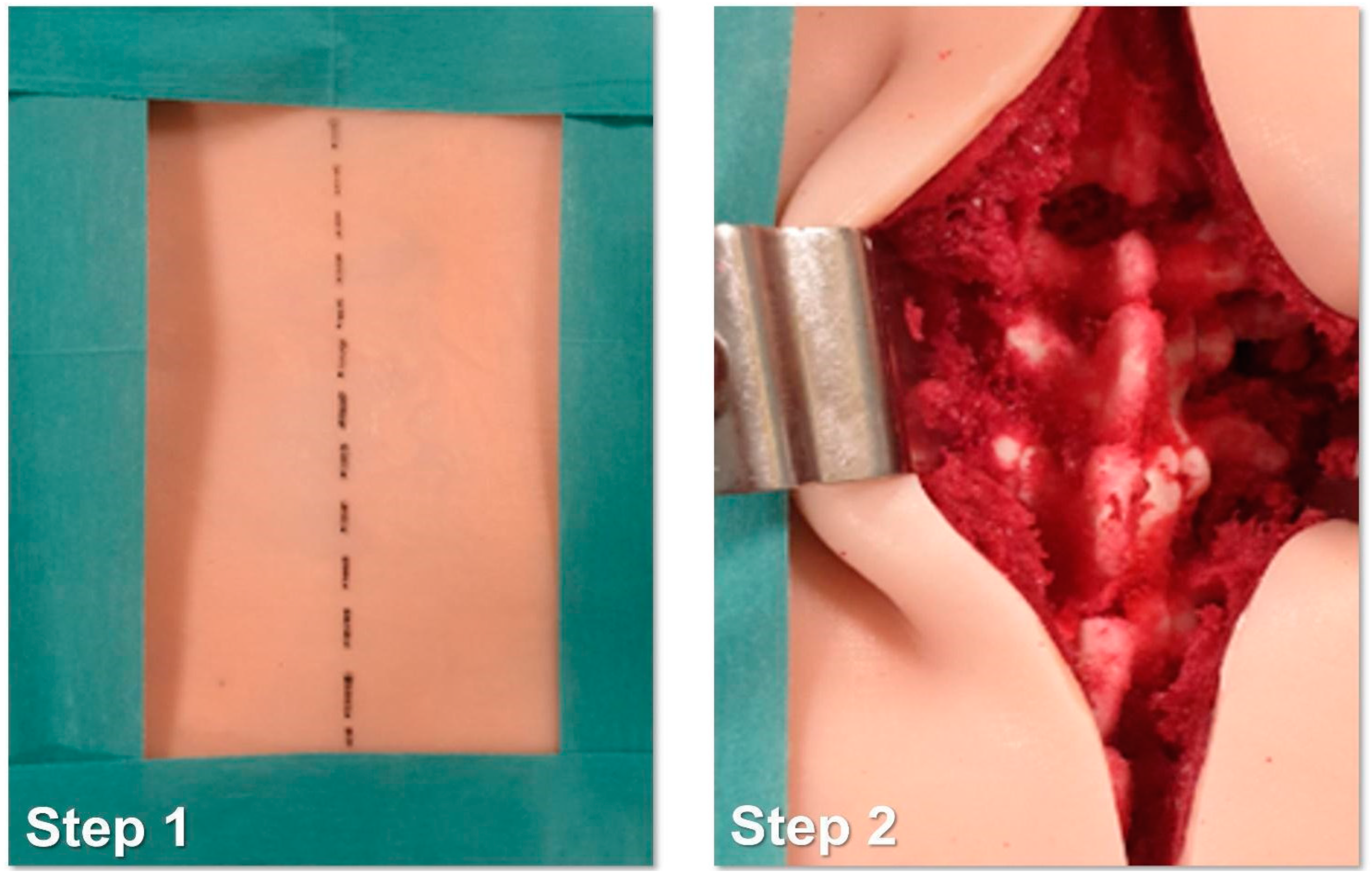 Bioengineering 10 01345 g004