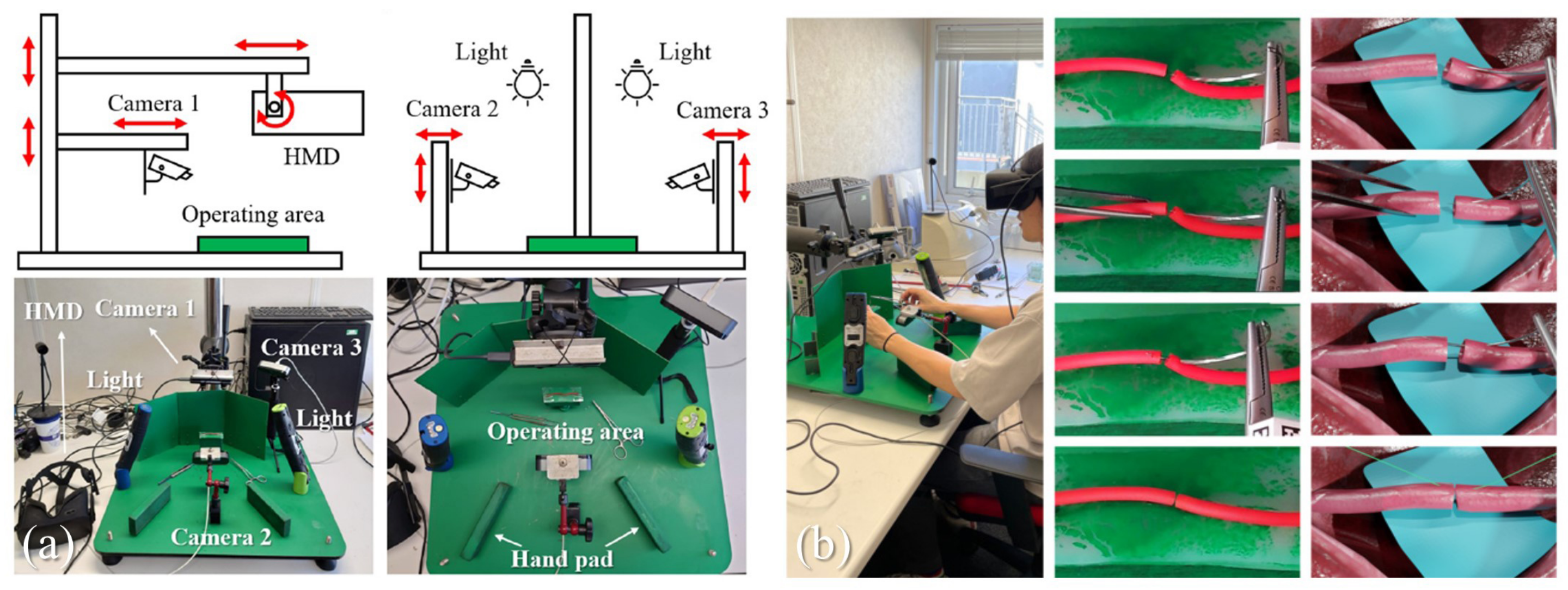 Bioengineering 10 01346 g003