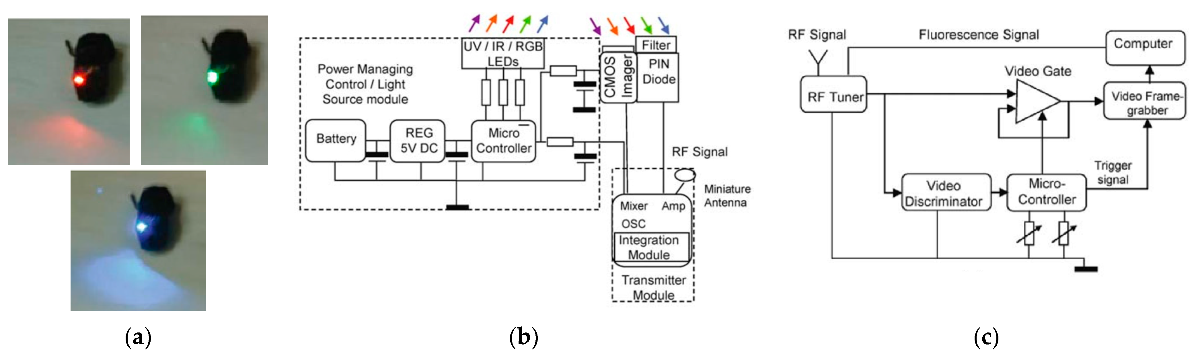 Bioengineering 10 01347 g011