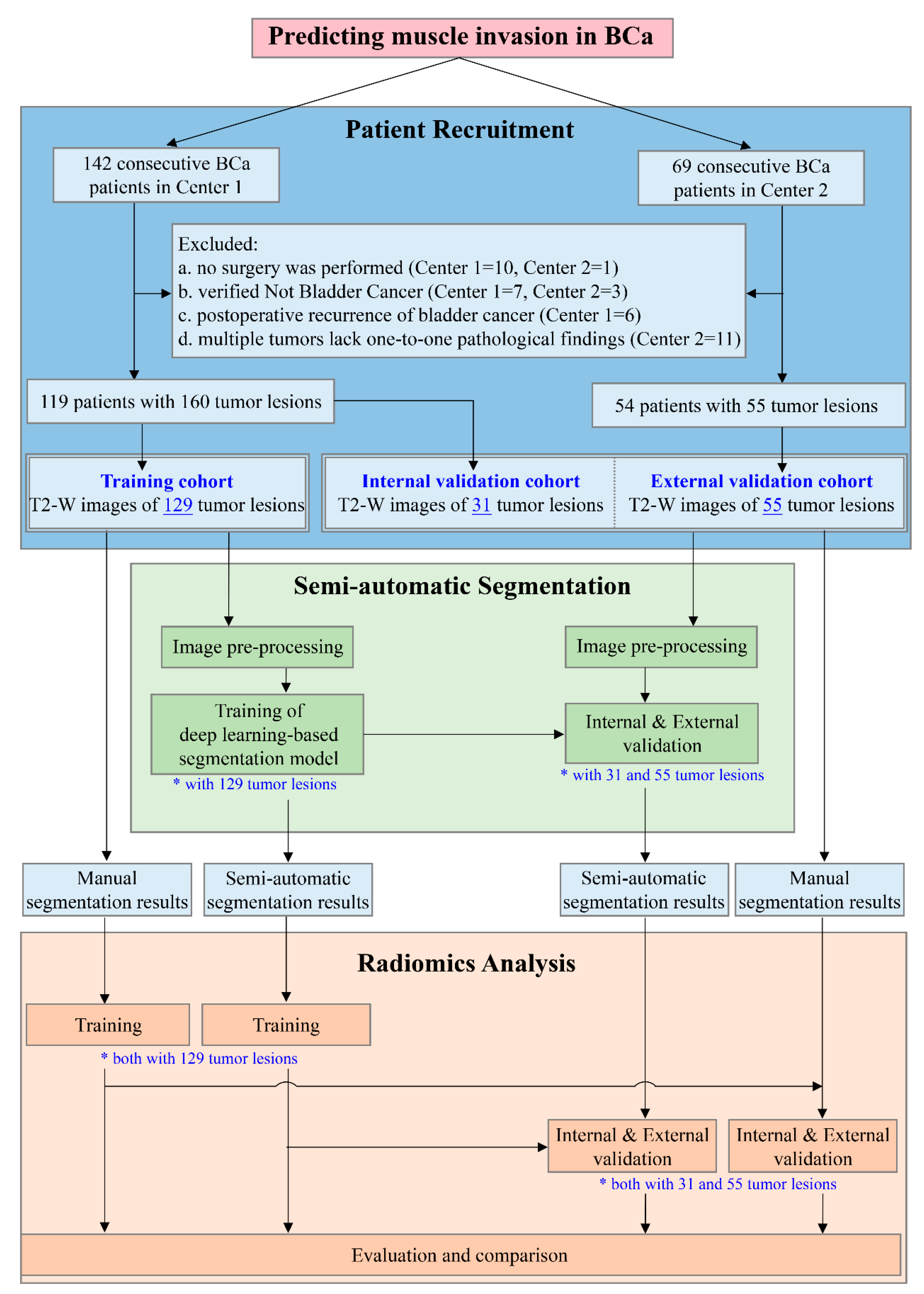 Bioengineering 10 01355 g001