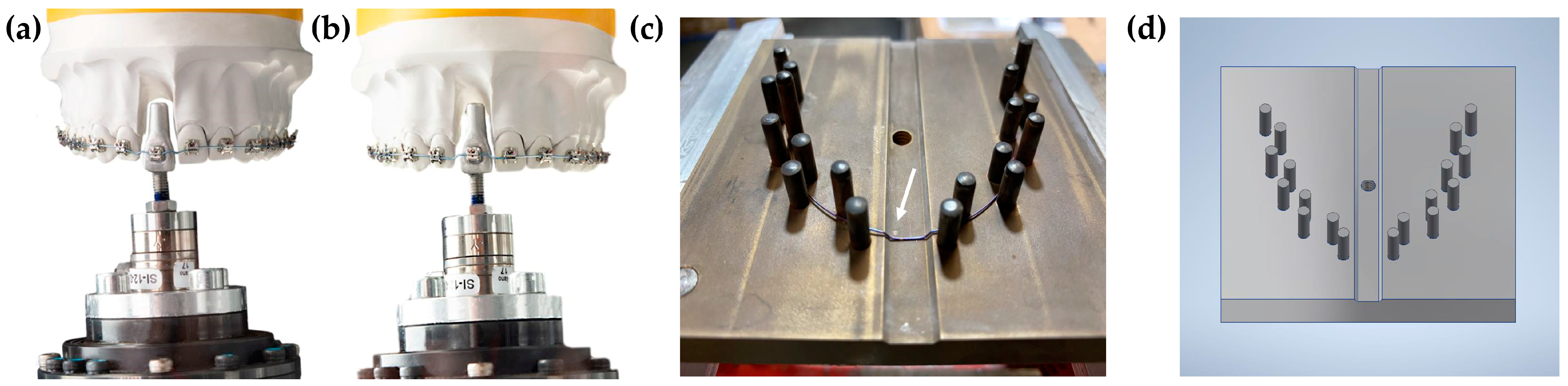 Bioengineering 10 01356 g001