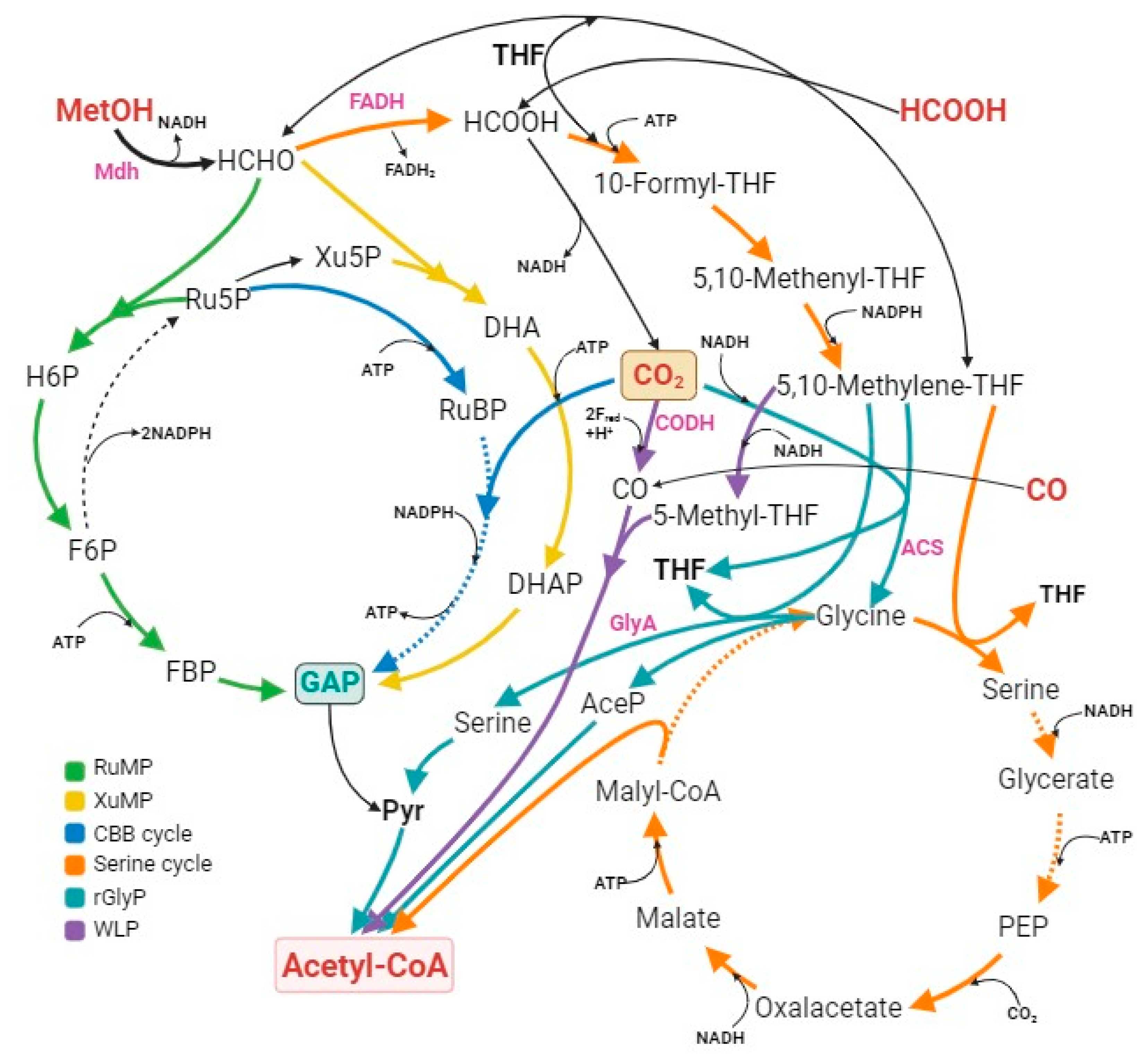 Bioengineering 10 01357 g004