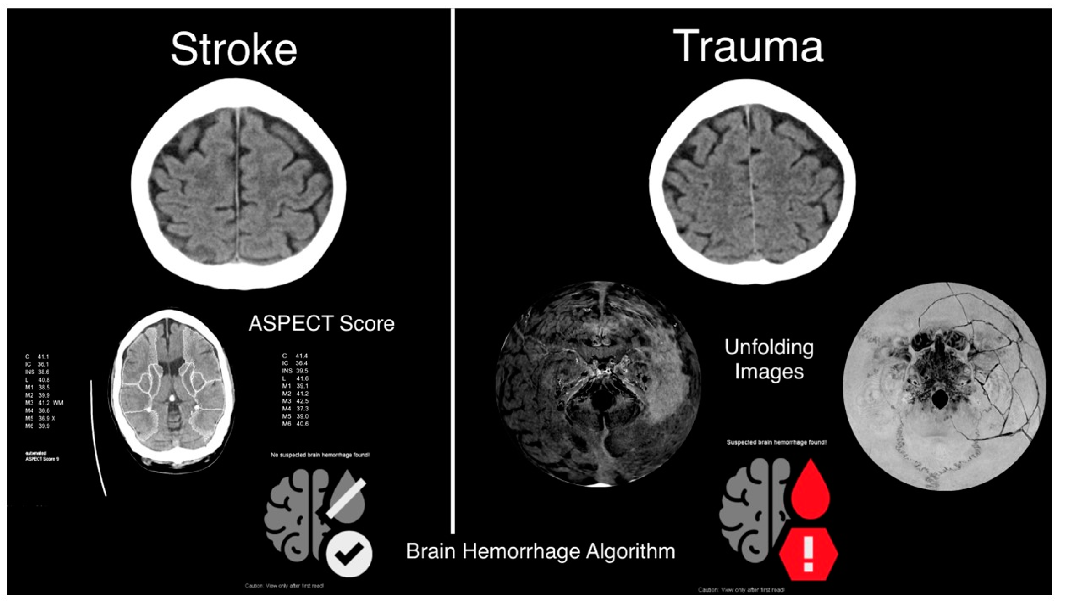 Bioengineering 10 01362 g003
