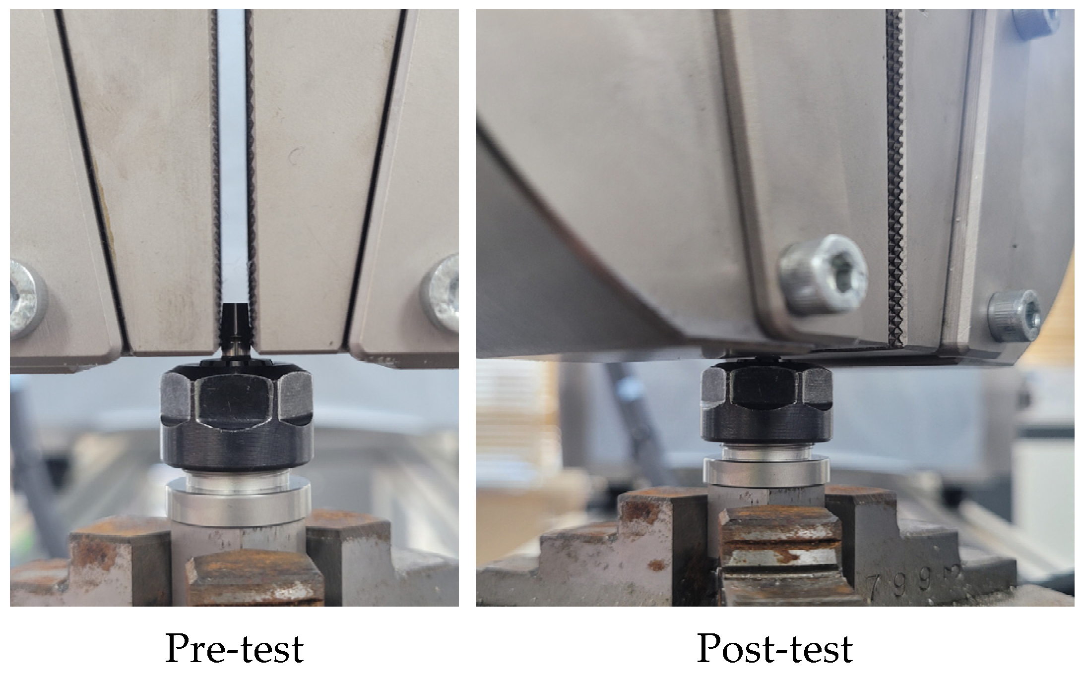 Bioengineering 10 01365 g005
