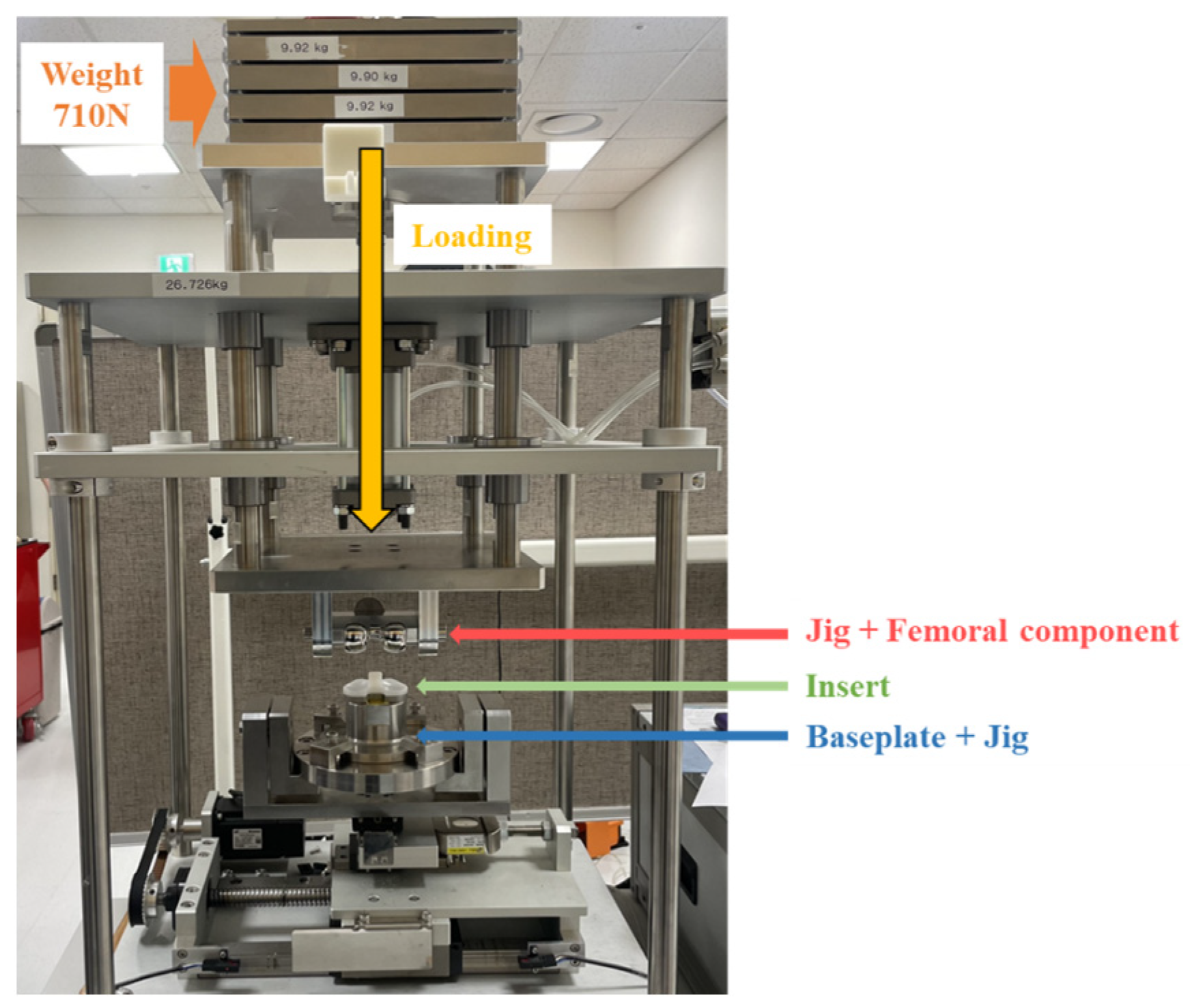 Bioengineering 10 01365 g009