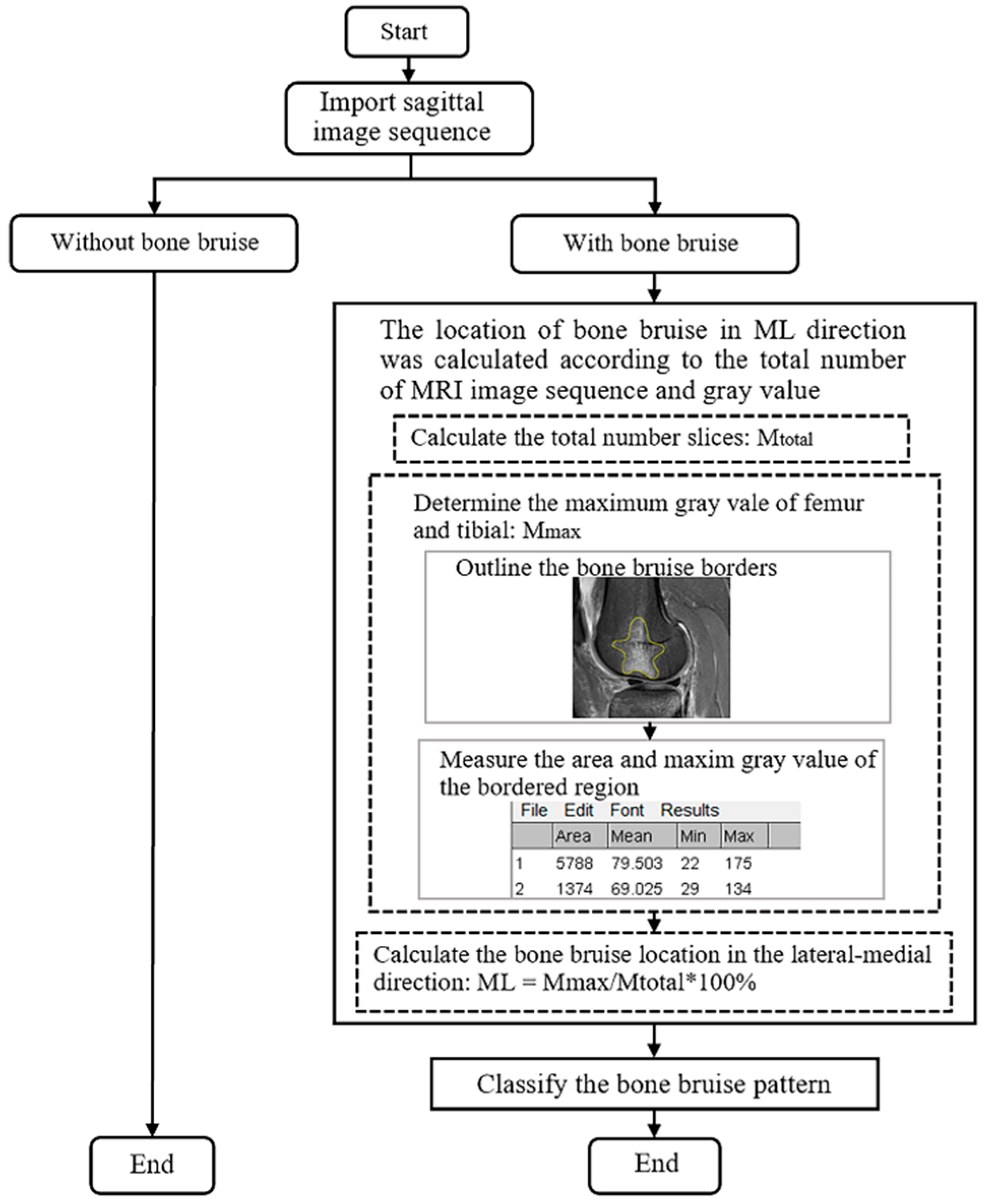 Bioengineering 10 01366 g001