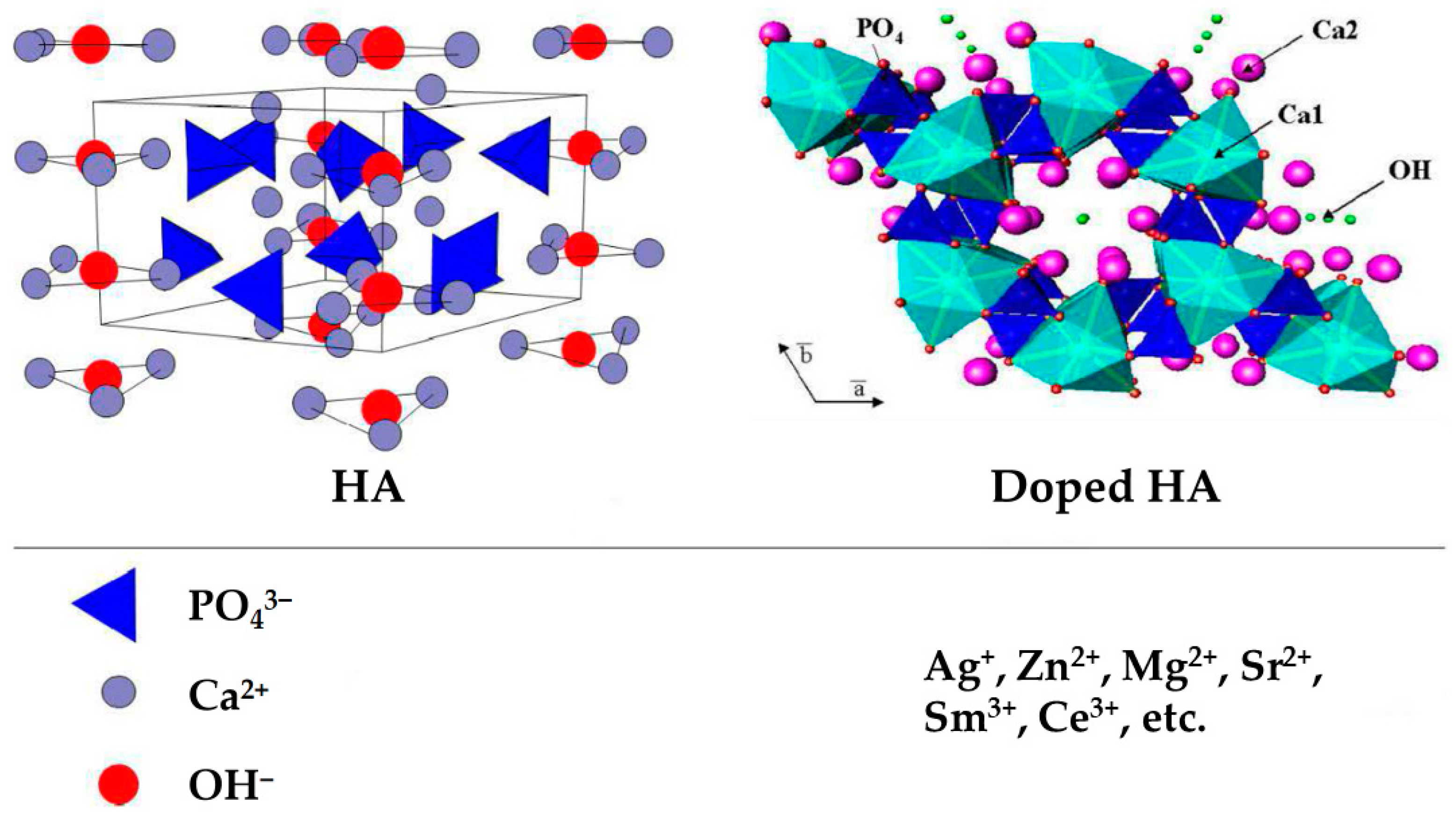 Metal Ion-Doped Hydroxyapatite-Based Materials for Bone Metal Ion-Doped Hydroxyapatite-Based Materials for Bone