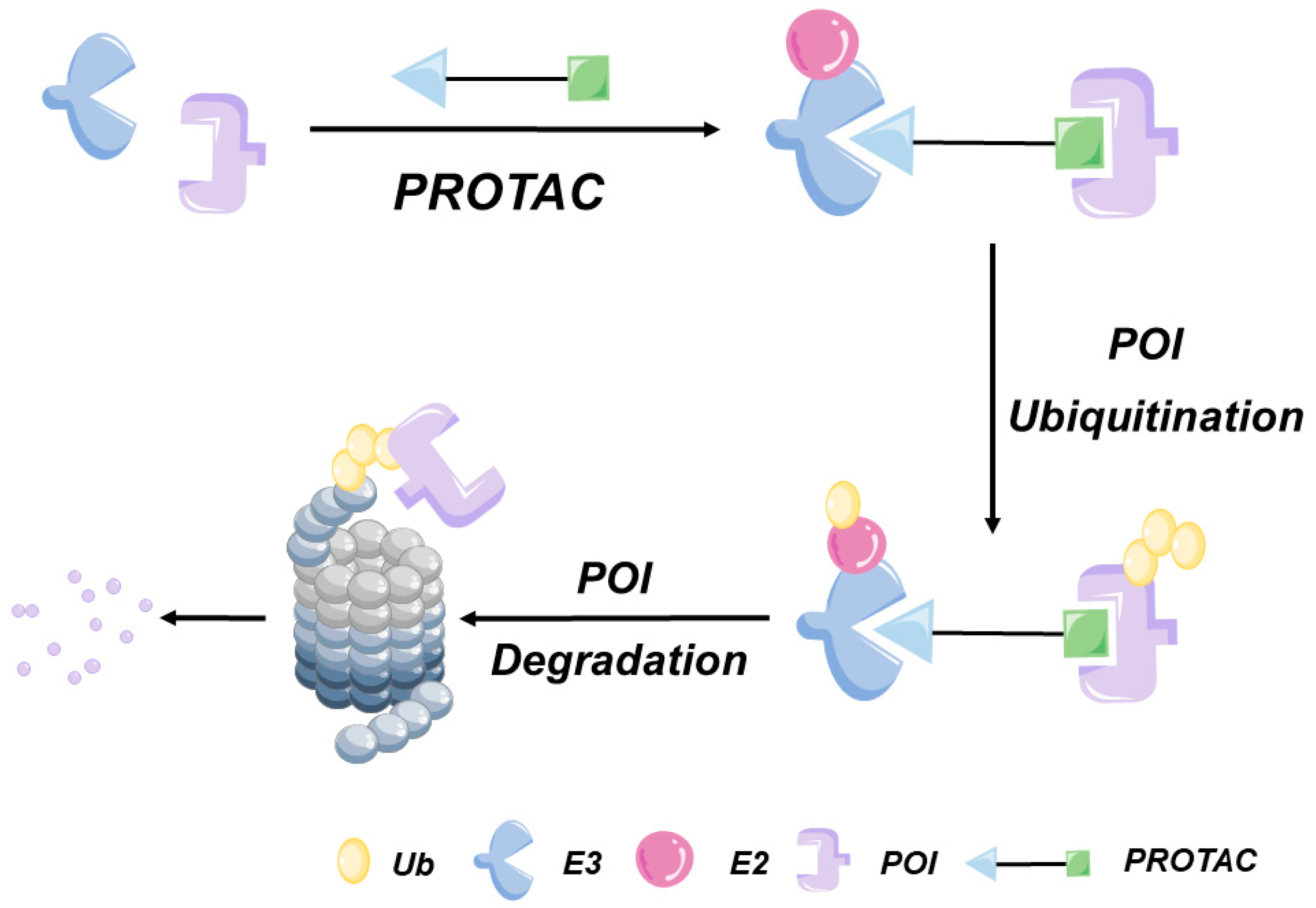 Bioengineering 10 01368 g002