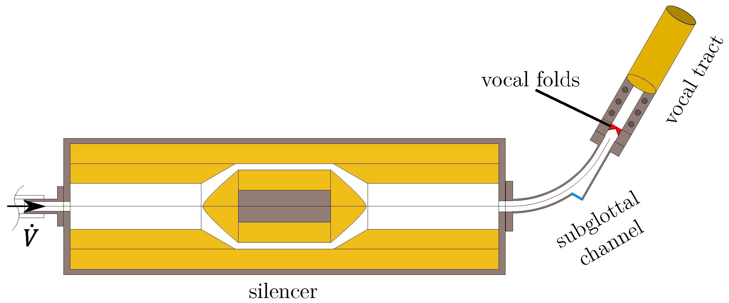 Bioengineering 10 01369 g001