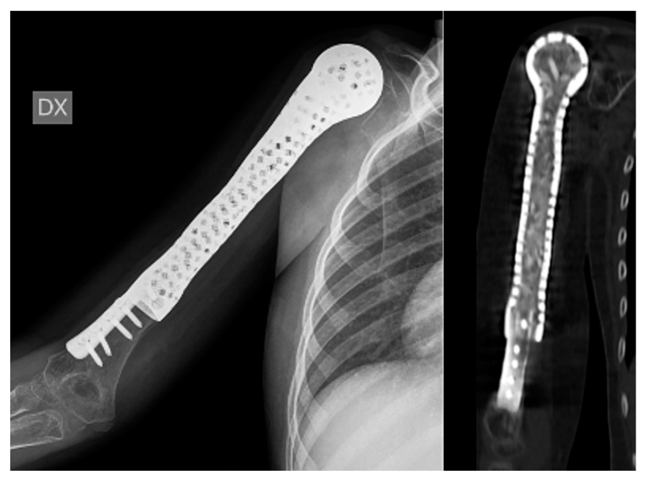 Bioengineering 10 01371 g002