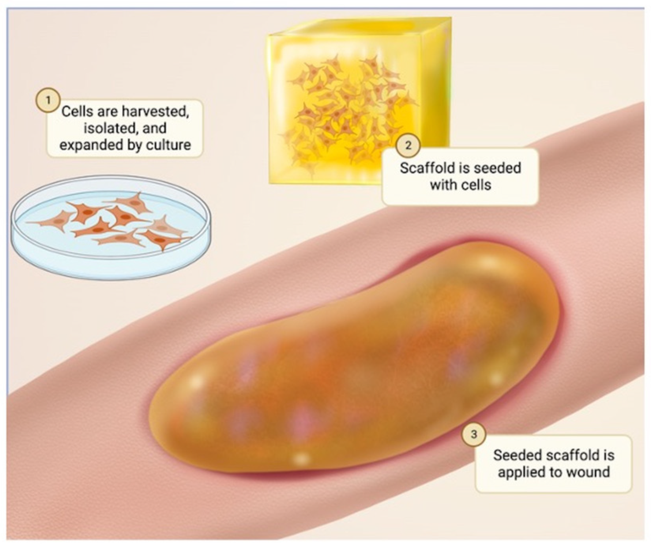 Bioengineering 10 01378 g003