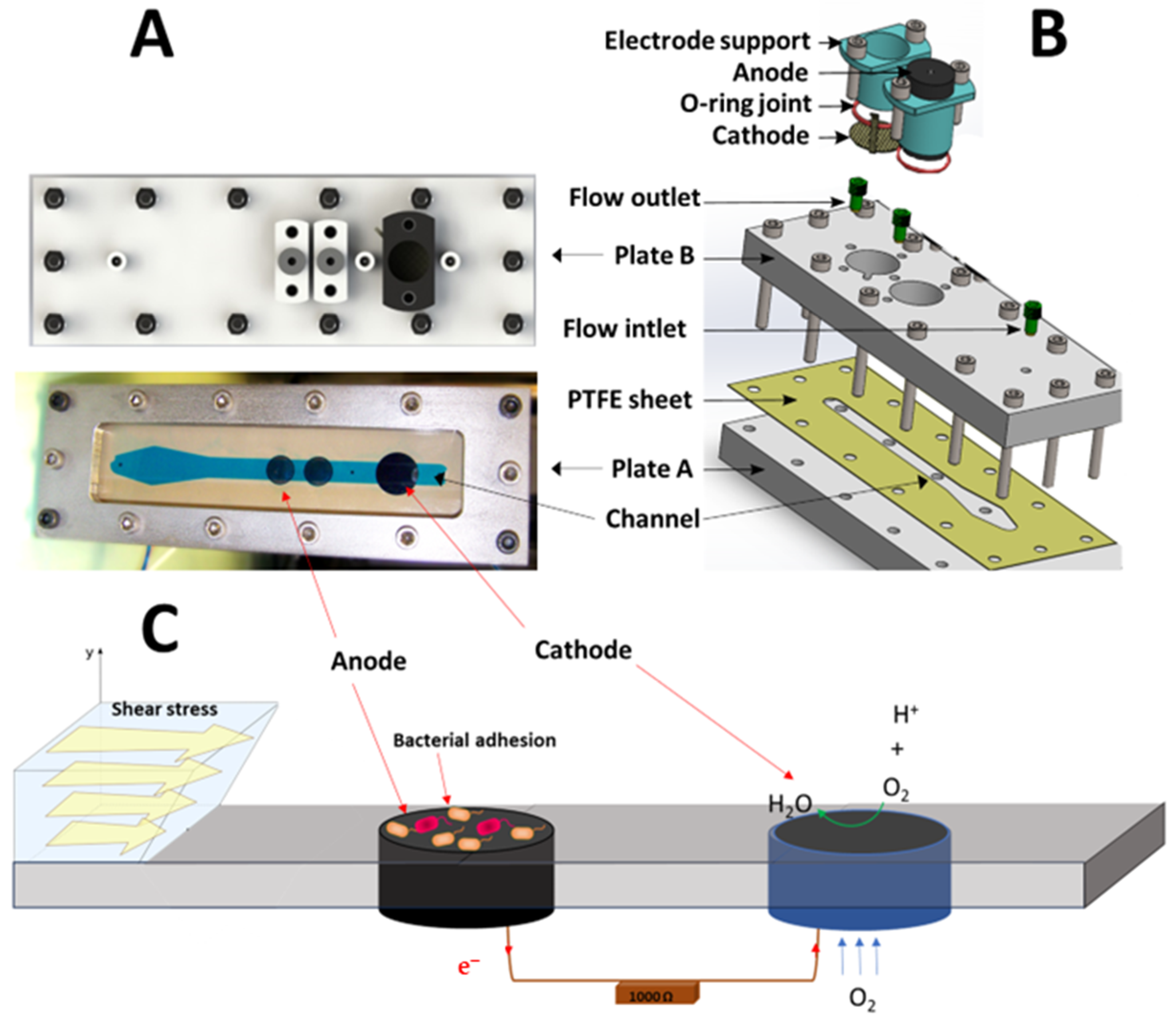 Bioengineering 10 01380 g001