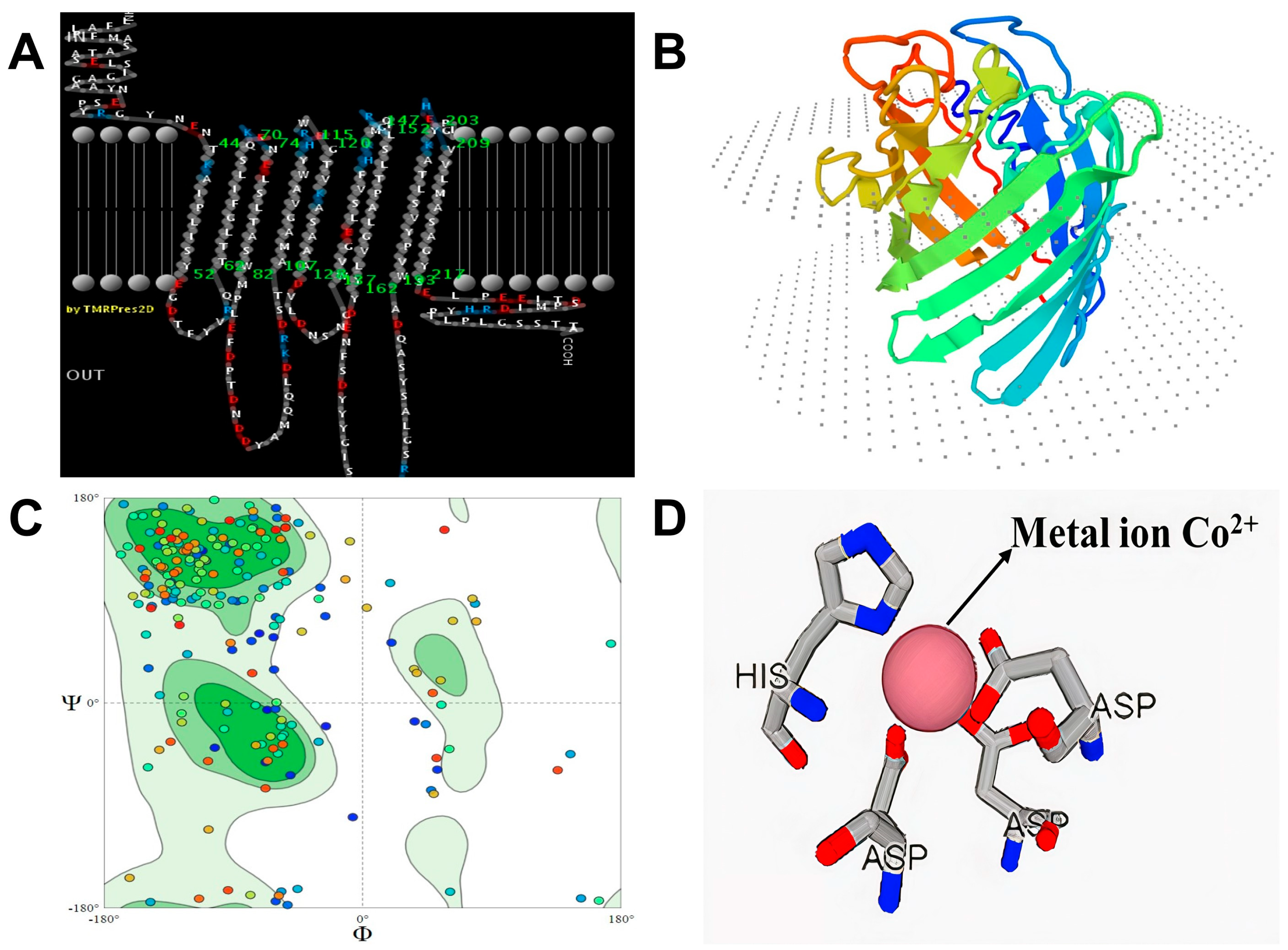 Bioengineering 10 01389 g002
