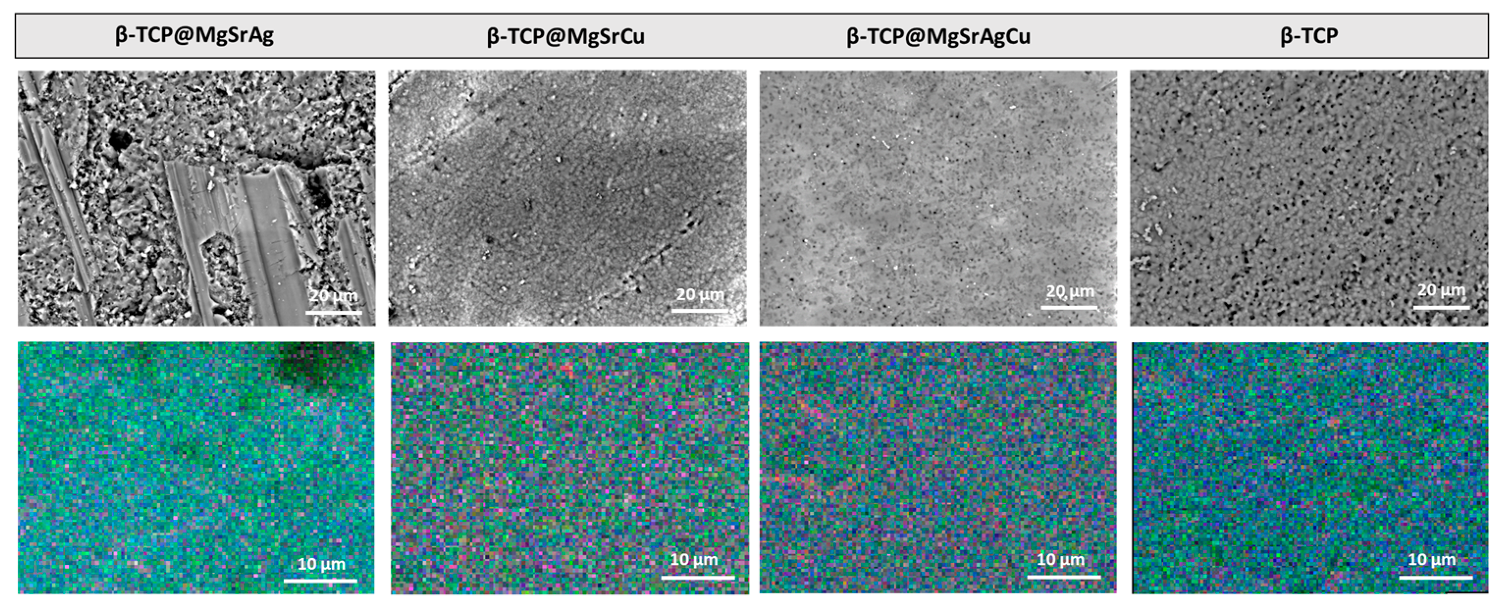 Bioengineering 10 01392 g004