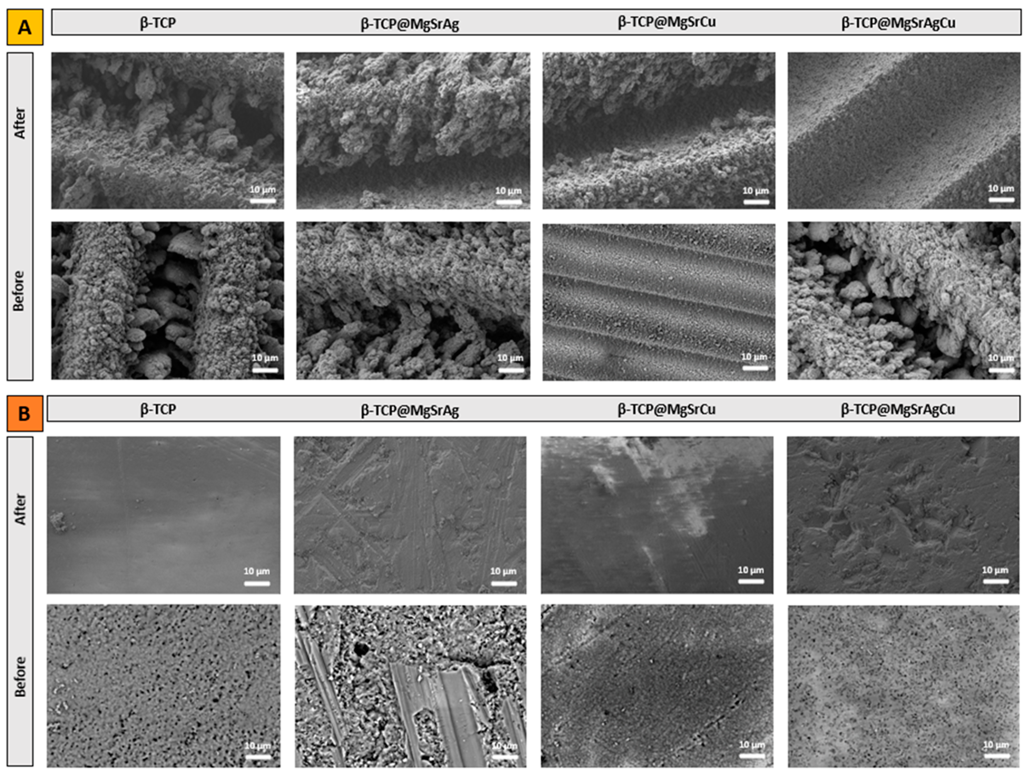 Bioengineering 10 01392 g011