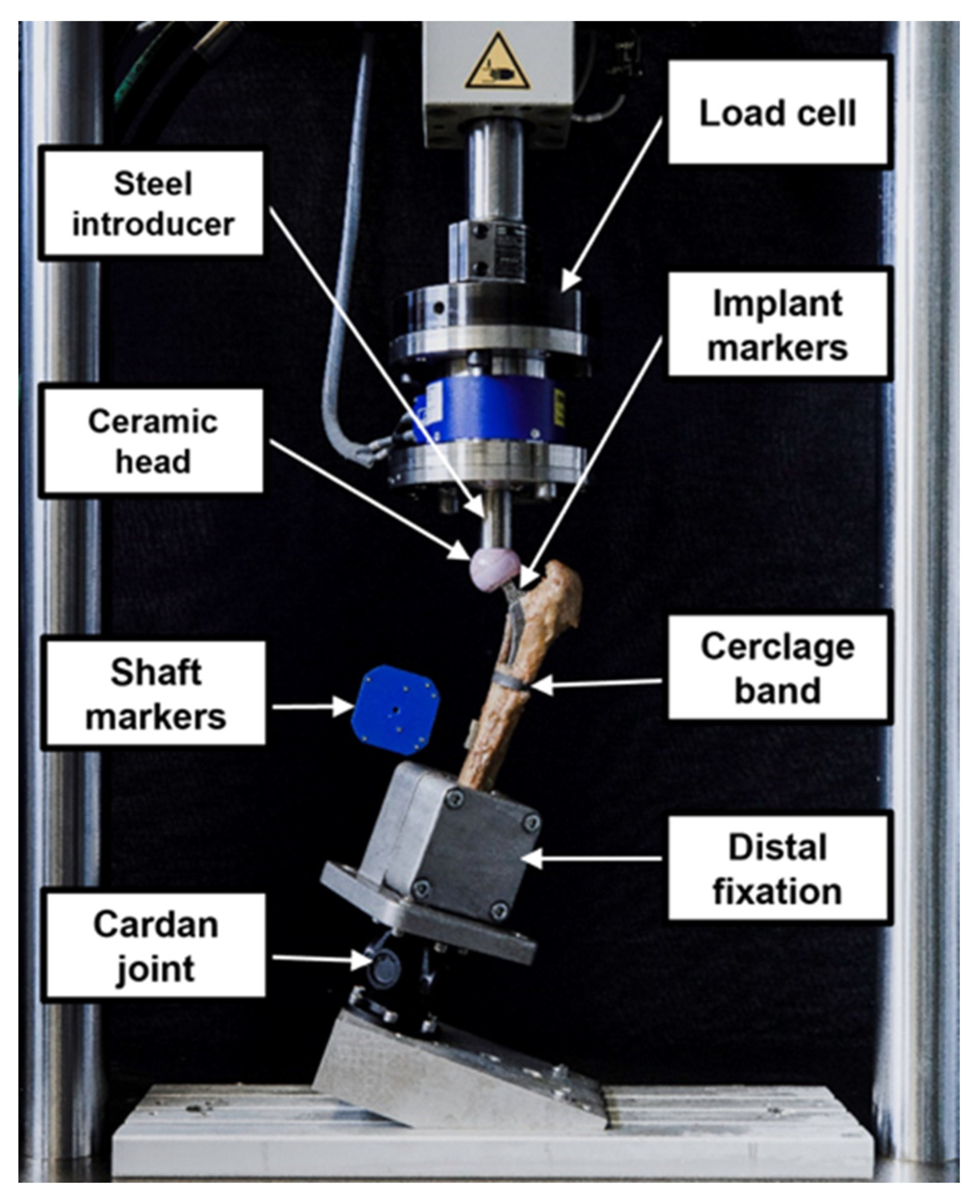 Bioengineering 10 01397 g004 Bioengineering 10 01397 g004