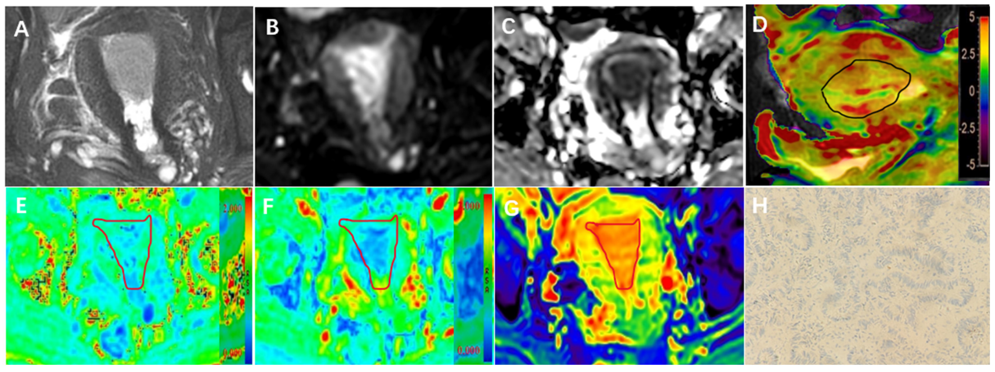 Bioengineering 10 01399 g002