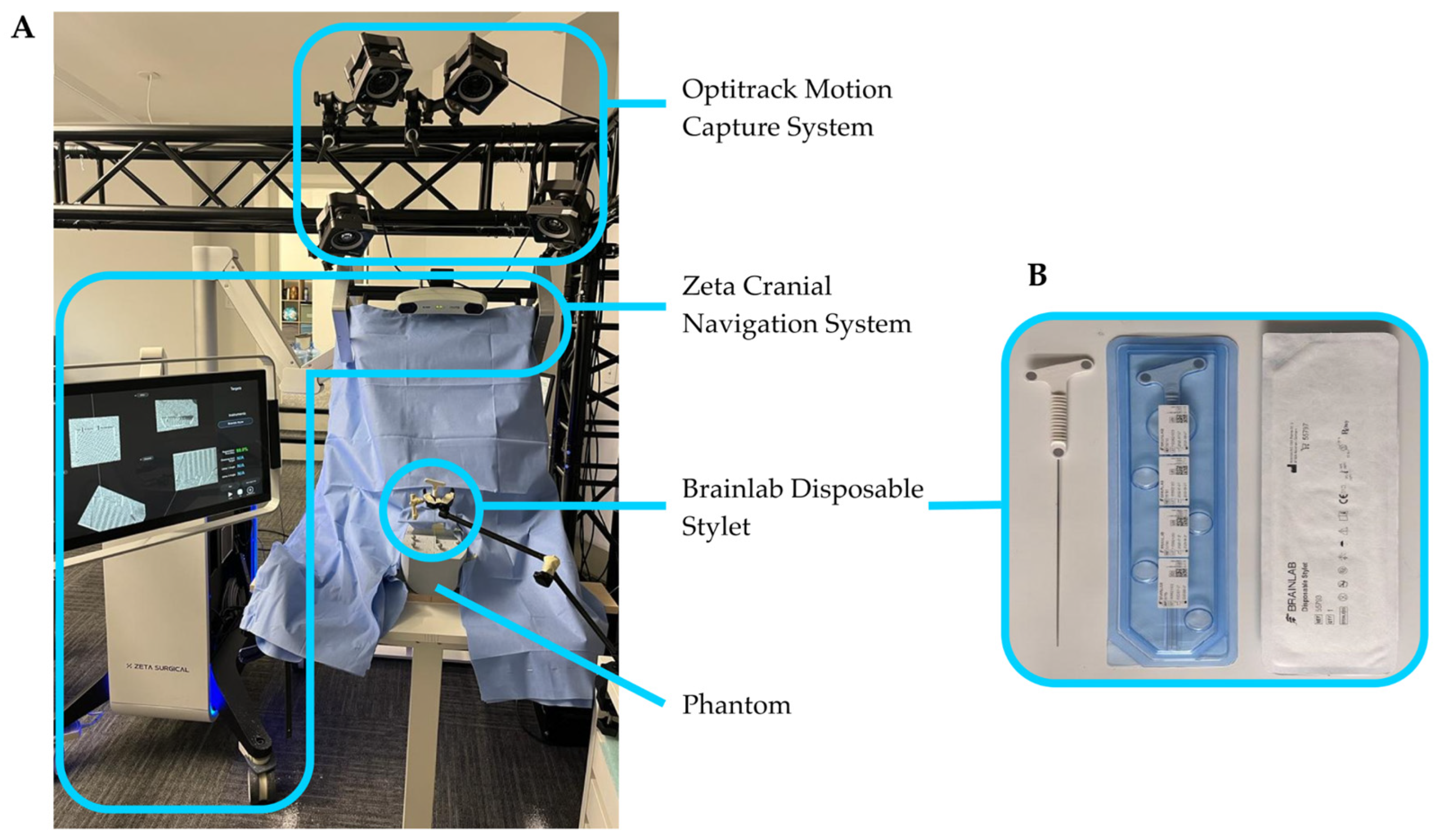 Bioengineering 10 01401 g001