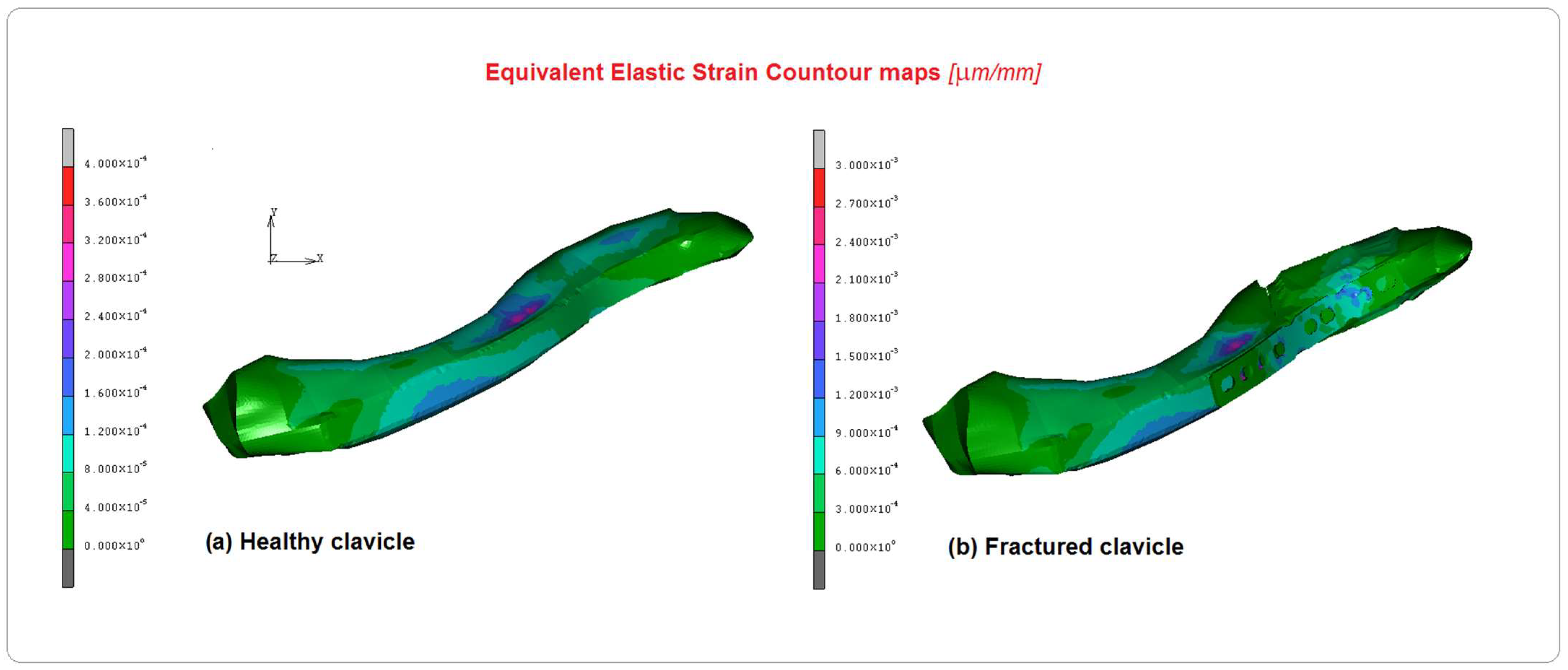 Bioengineering 10 01402 g008