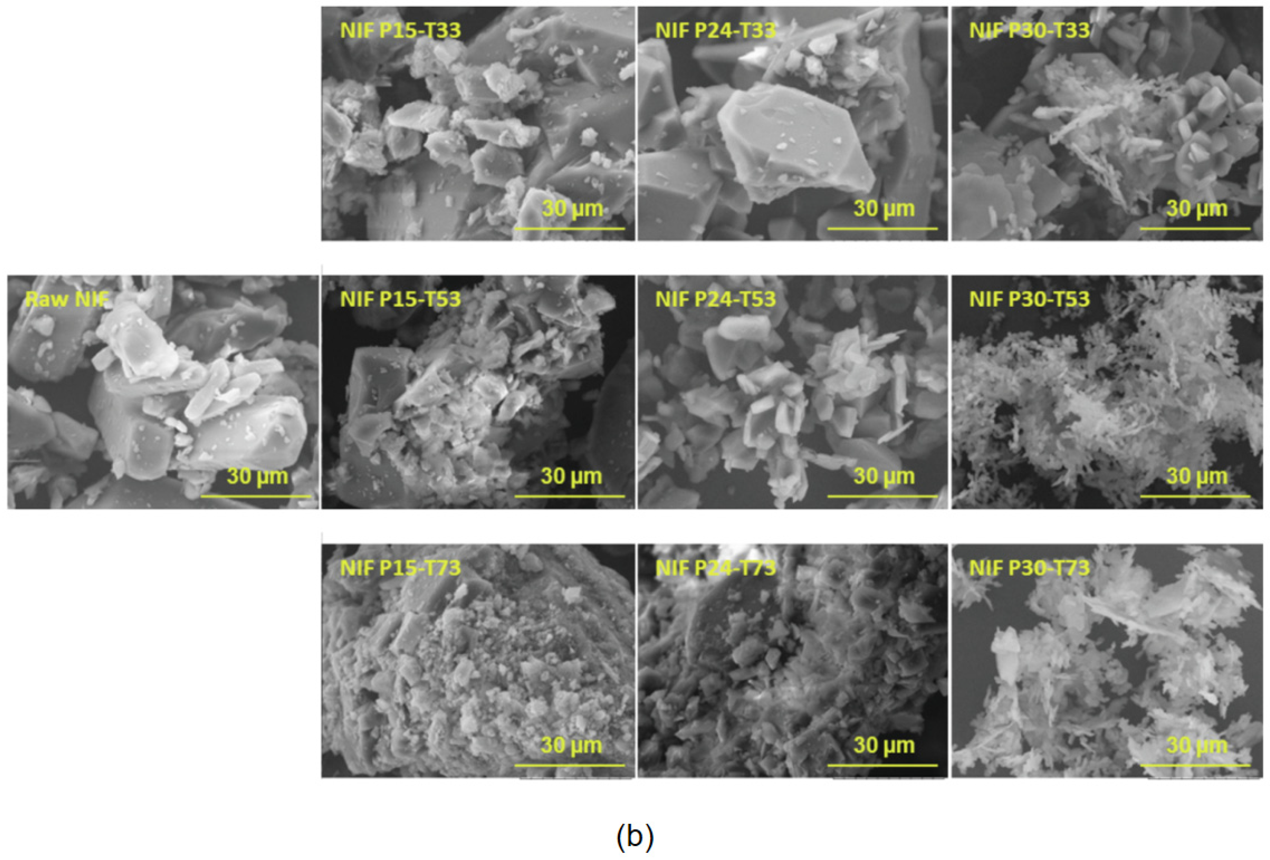 Bioengineering 10 01404 g009b
