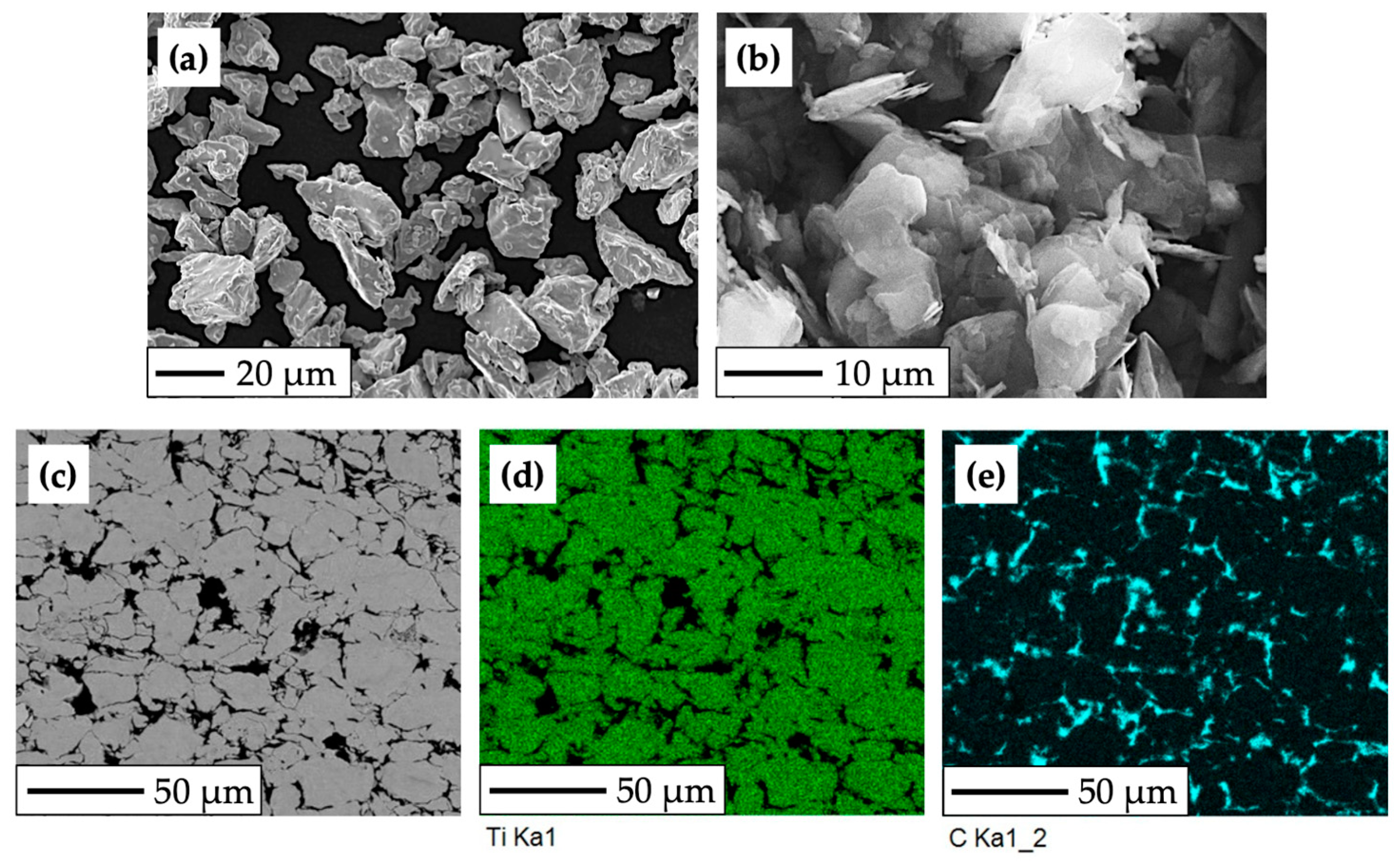 Bioengineering 10 01406 g001