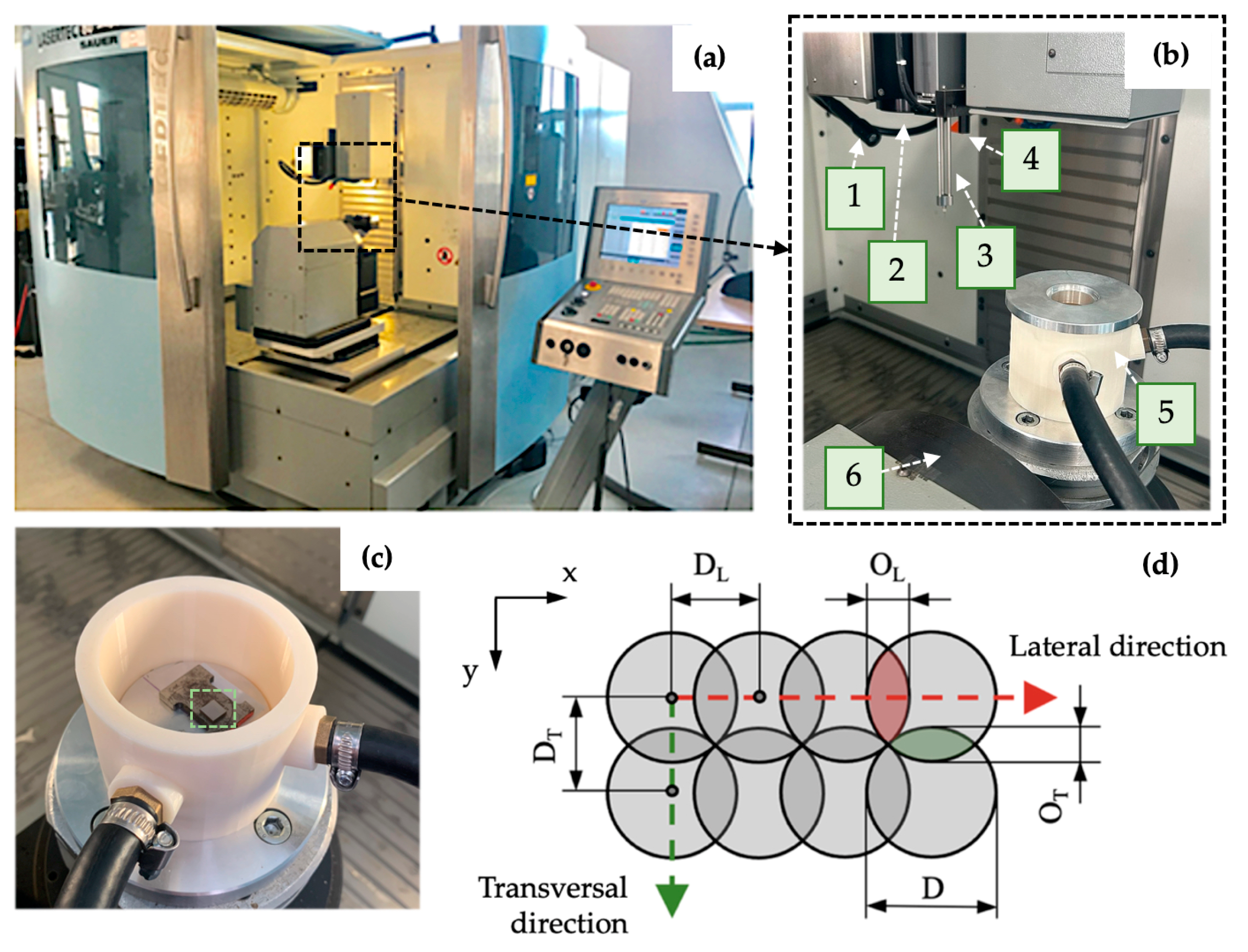 Bioengineering 10 01406 g002