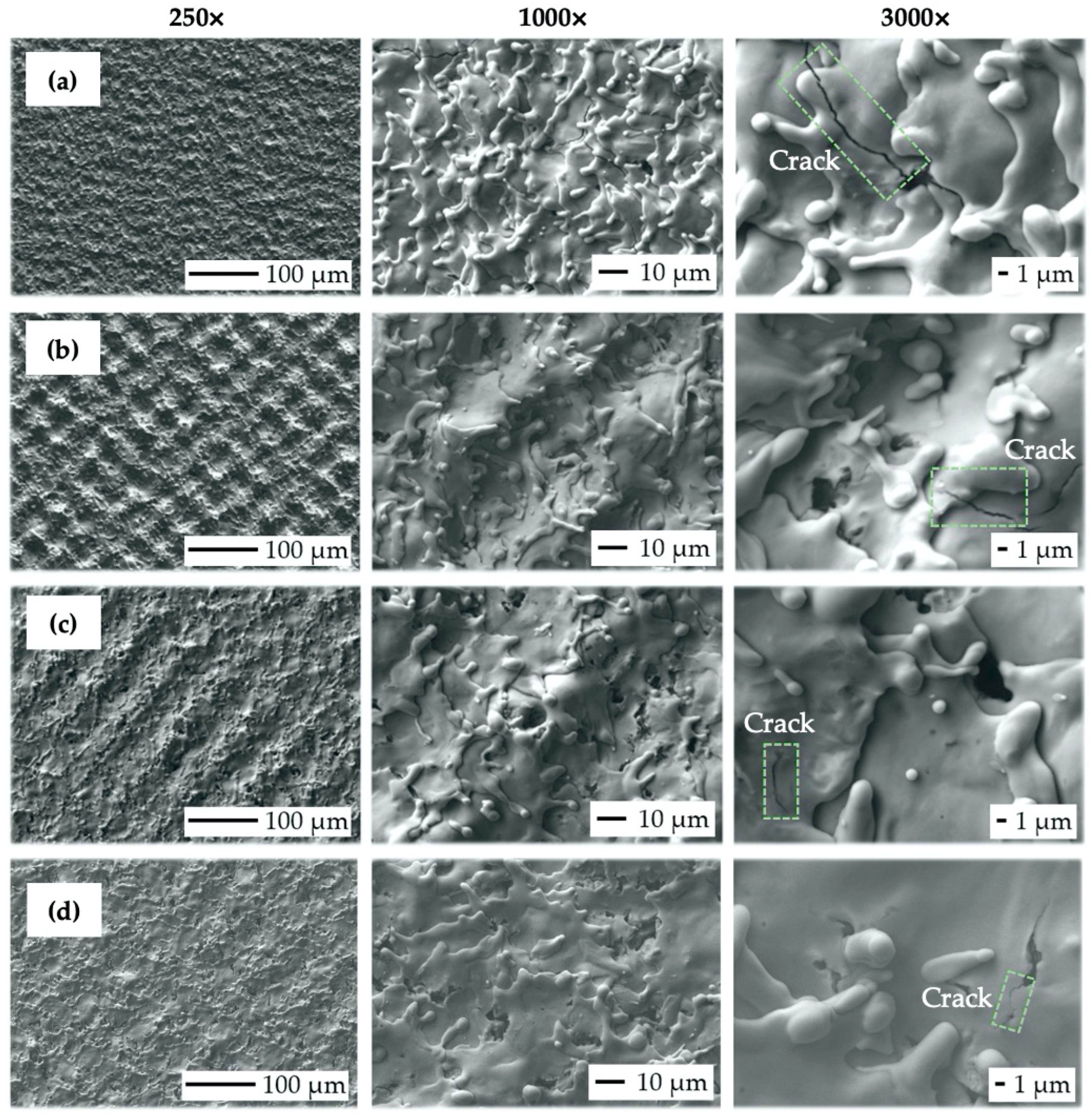 Bioengineering 10 01406 g009