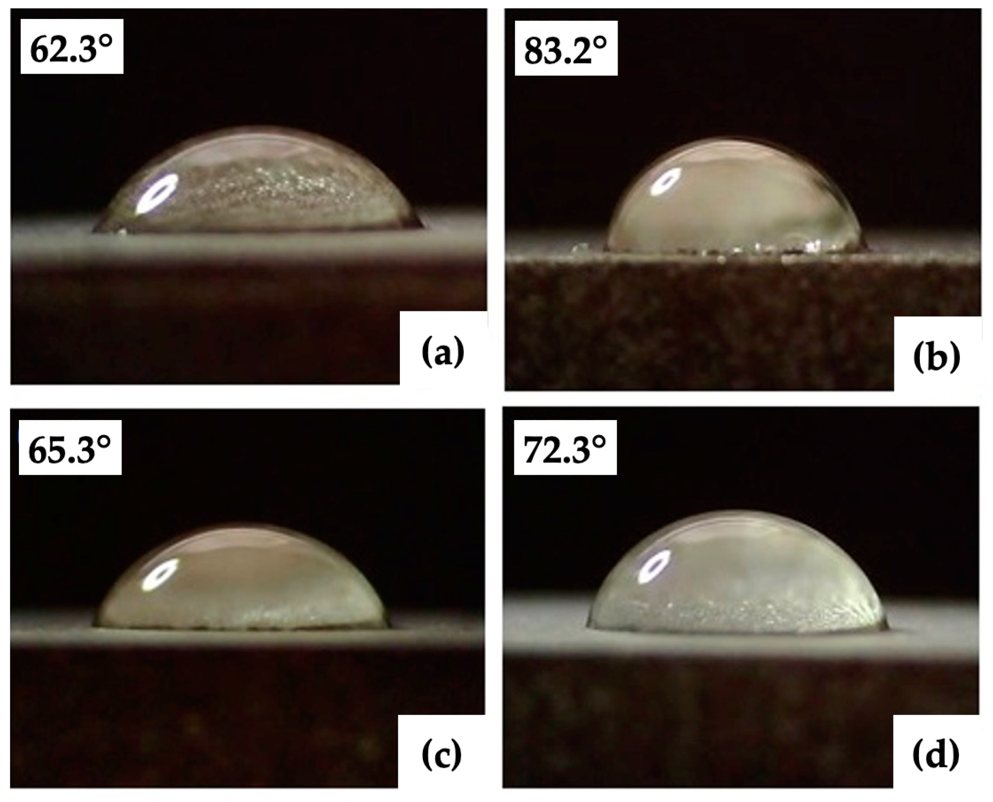 Bioengineering 10 01406 g010
