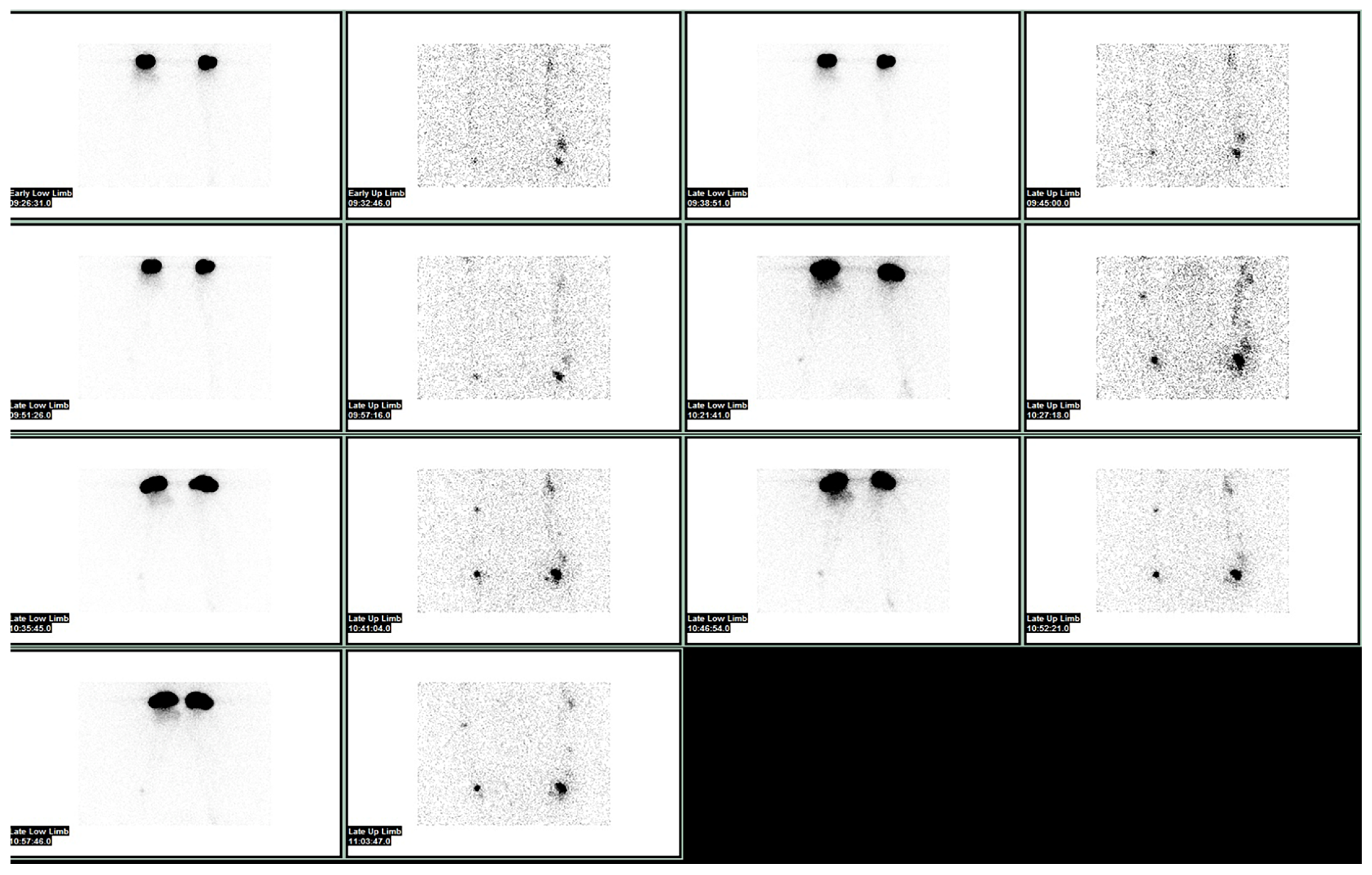 Bioengineering 10 01407 g001