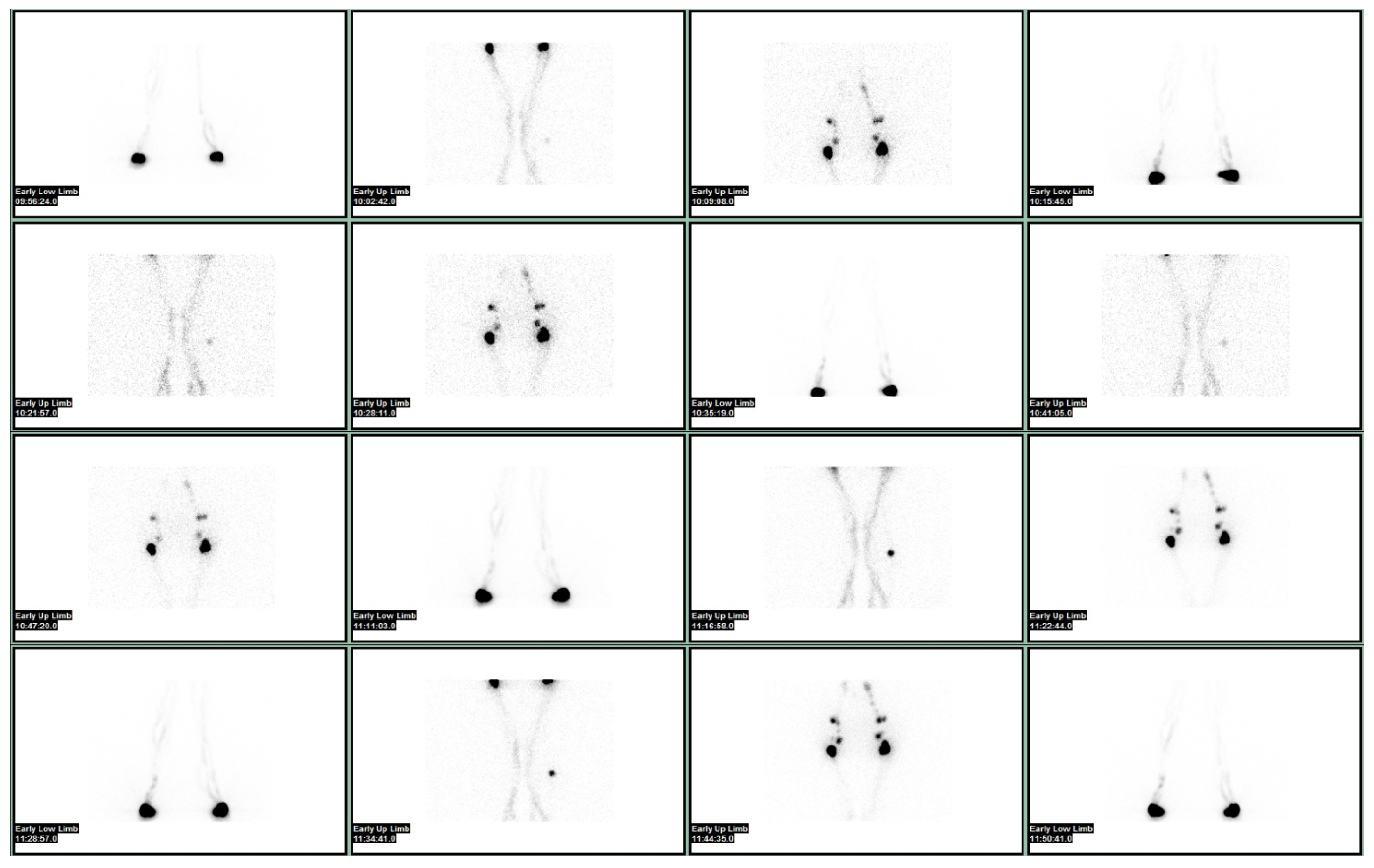 Bioengineering 10 01407 g002
