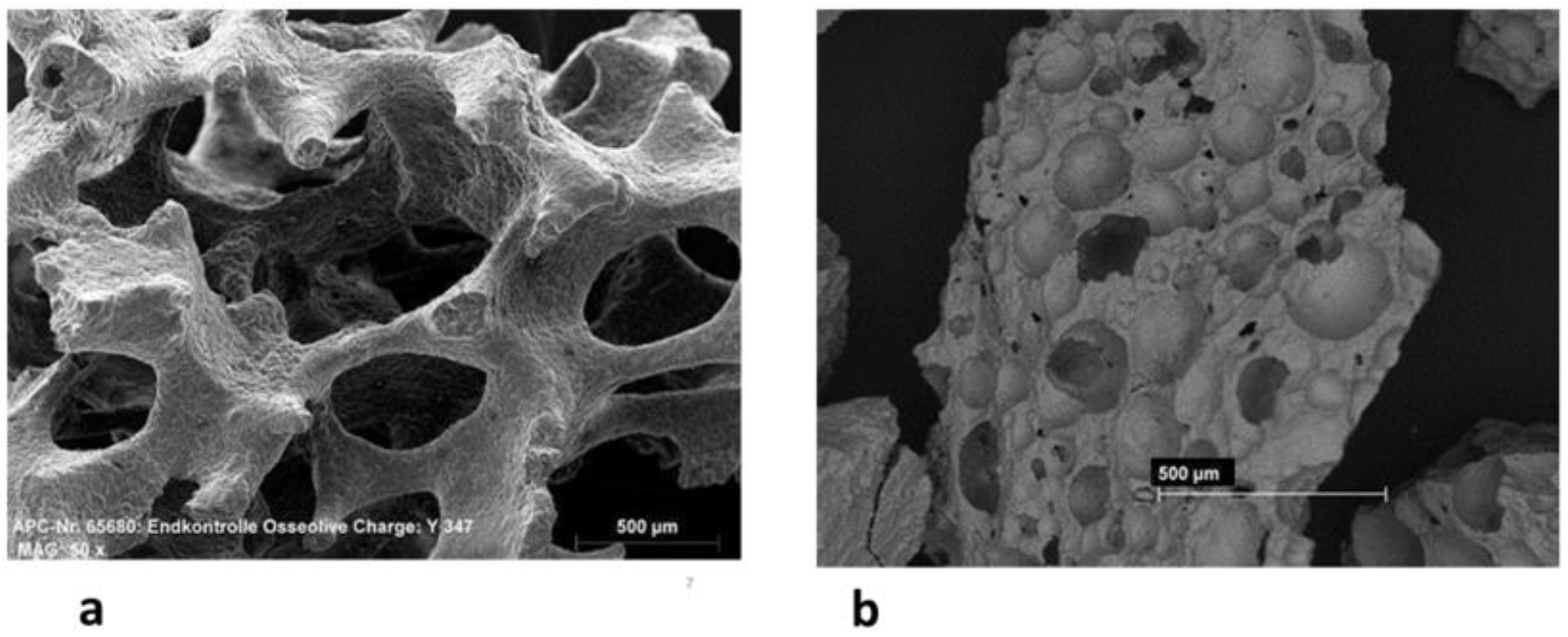 Bioengineering 10 01408 g001