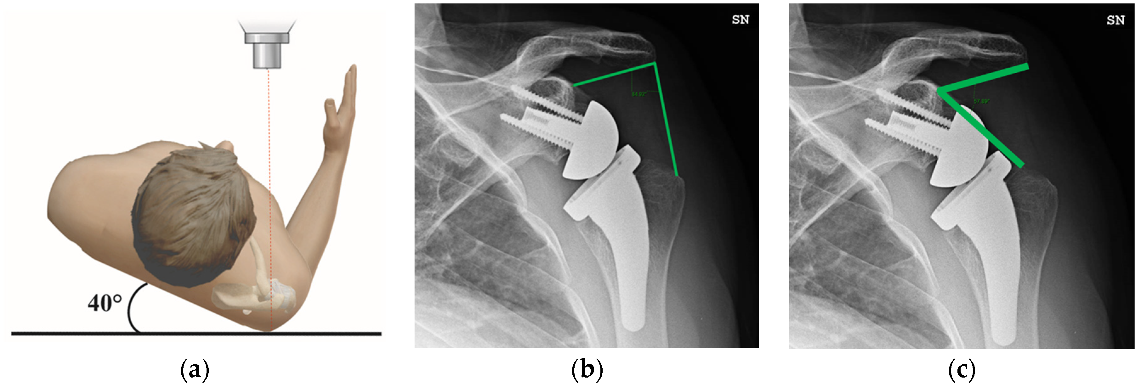 Bioengineering 10 01409 g001