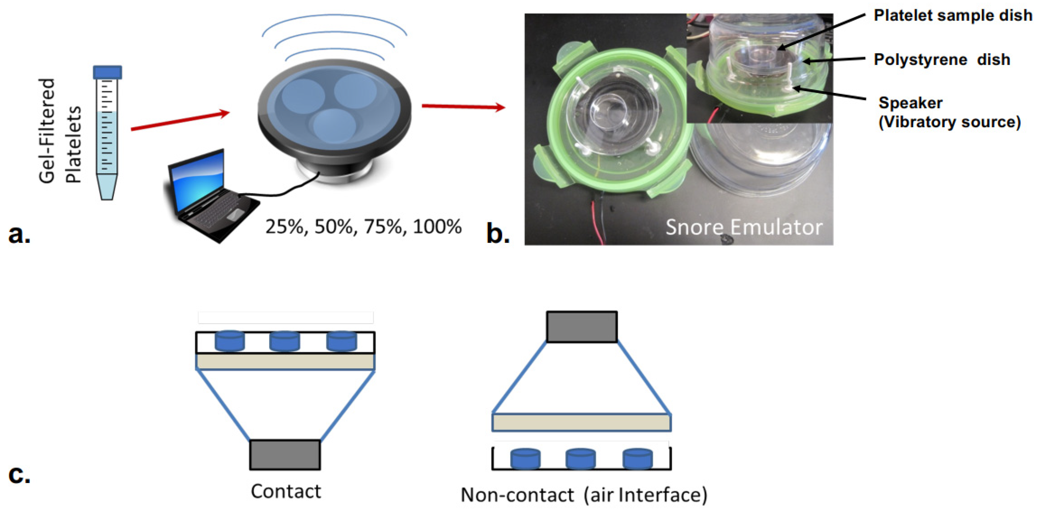 Bioengineering 10 01414 g001 Bioengineering 10 01414 g001