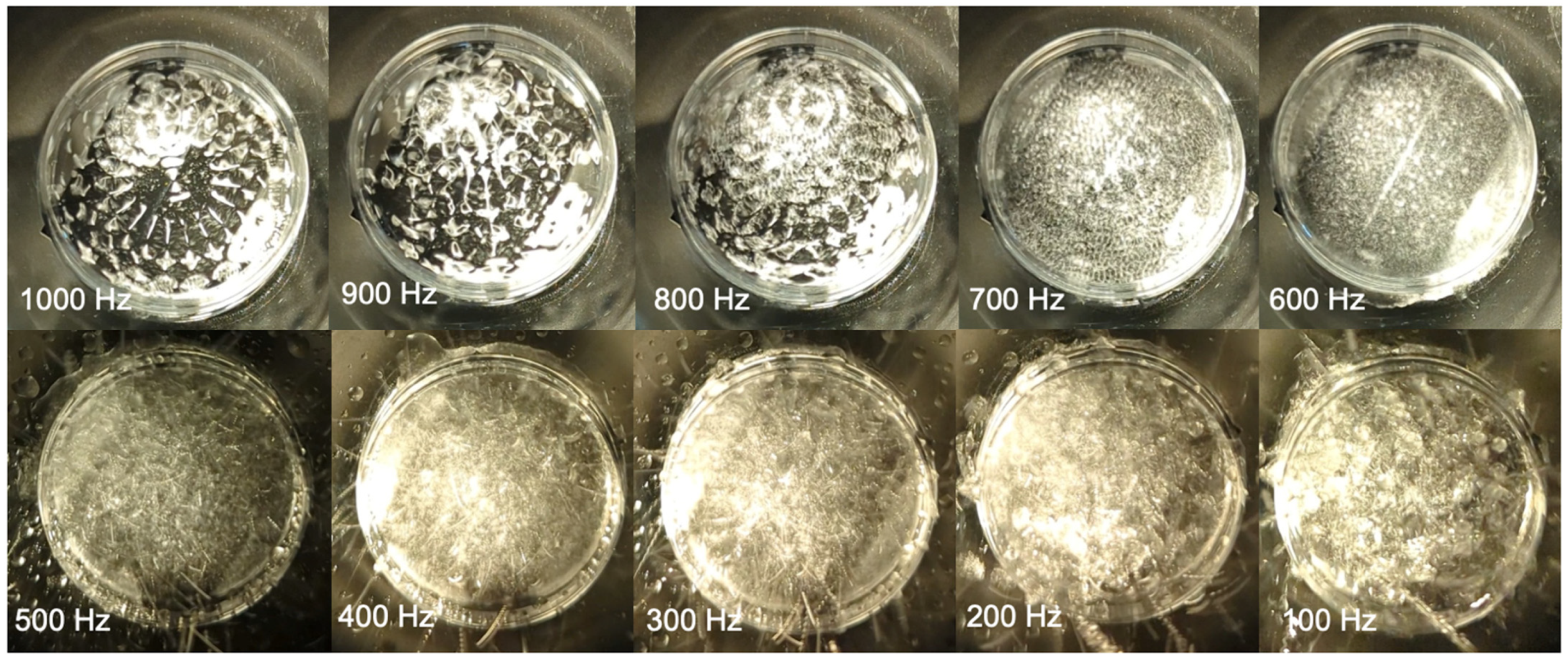 Bioengineering 10 01414 g010 Bioengineering 10 01414 g010