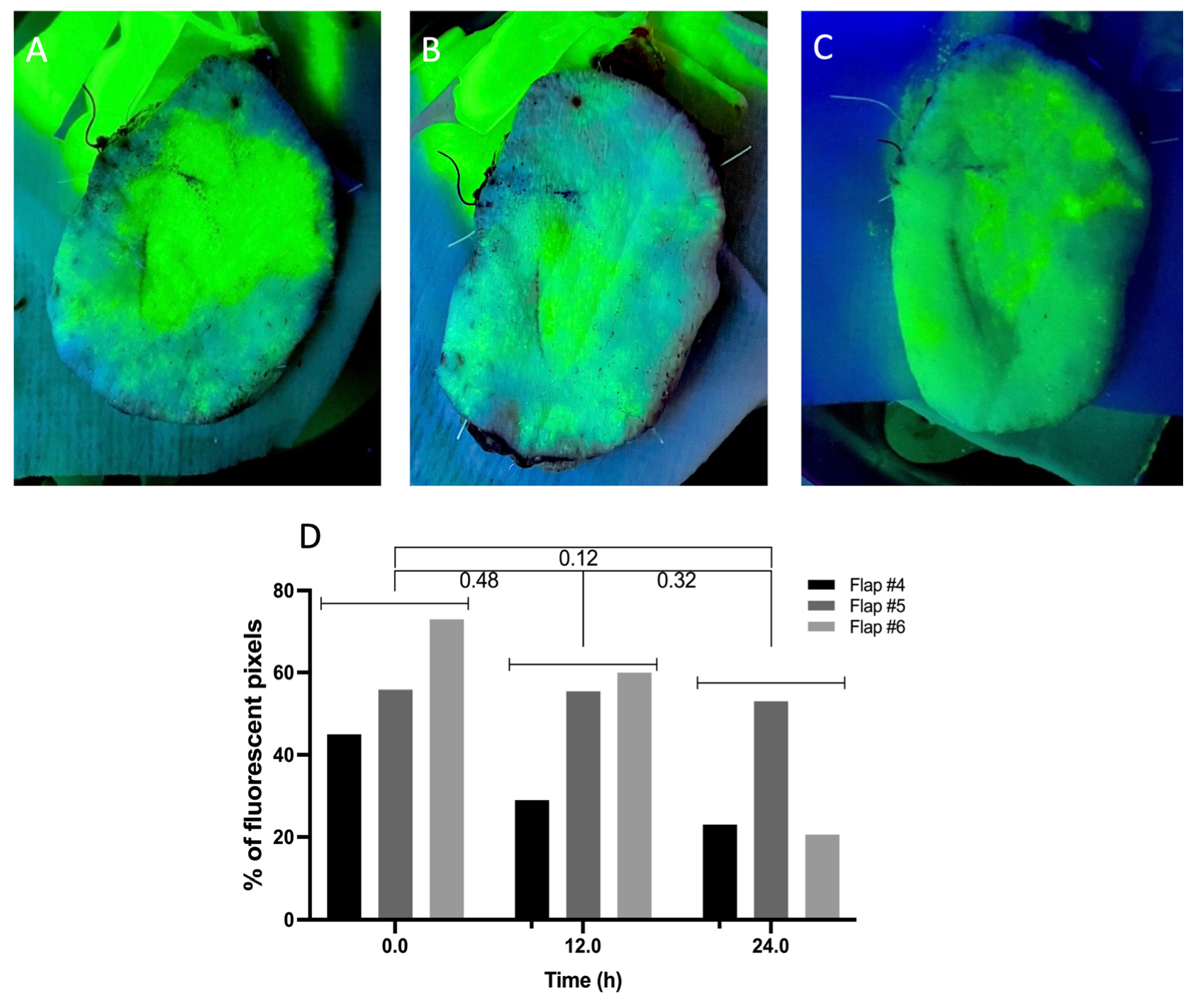Bioengineering 10 01415 g0a1
