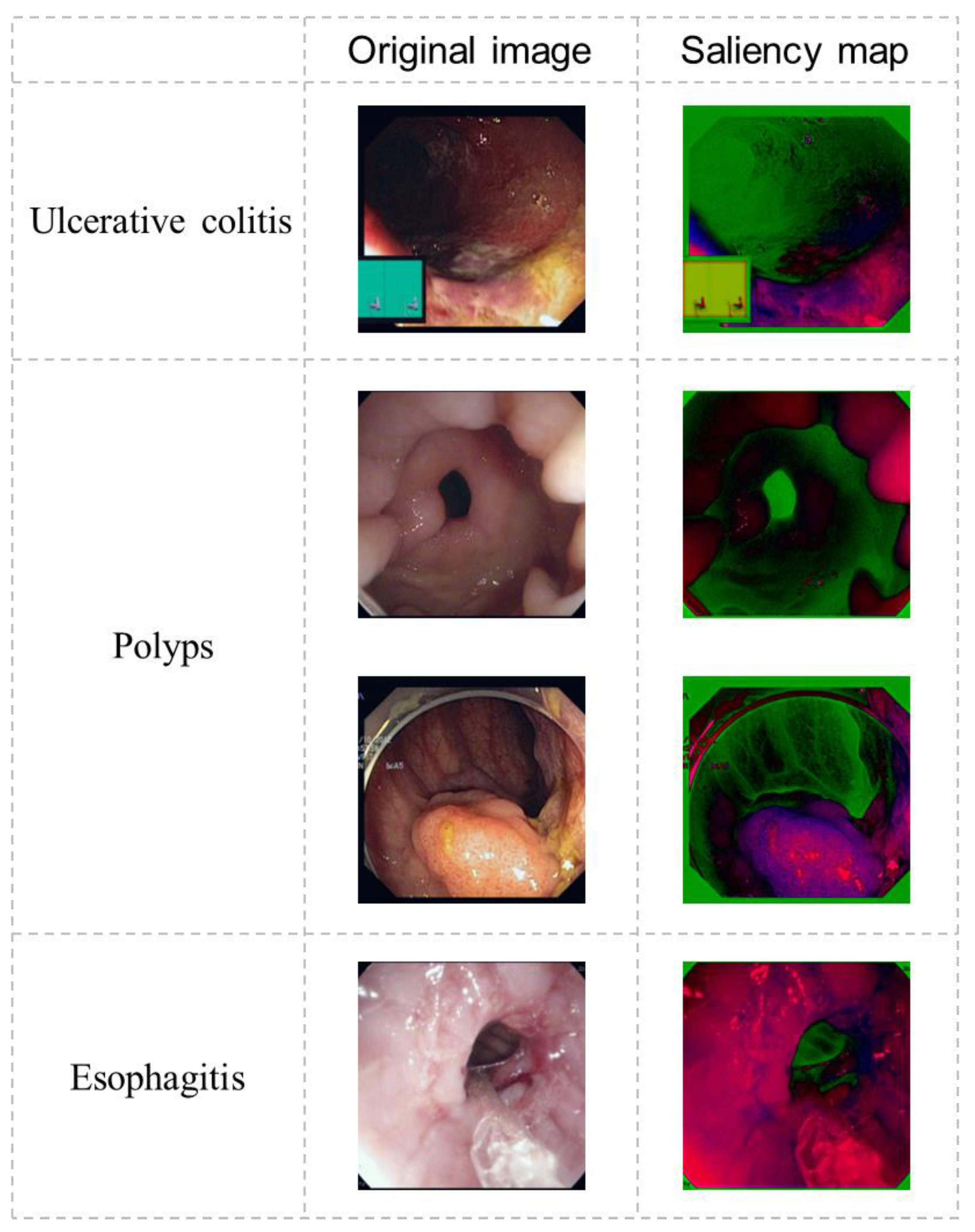 Bioengineering 10 01416 g007