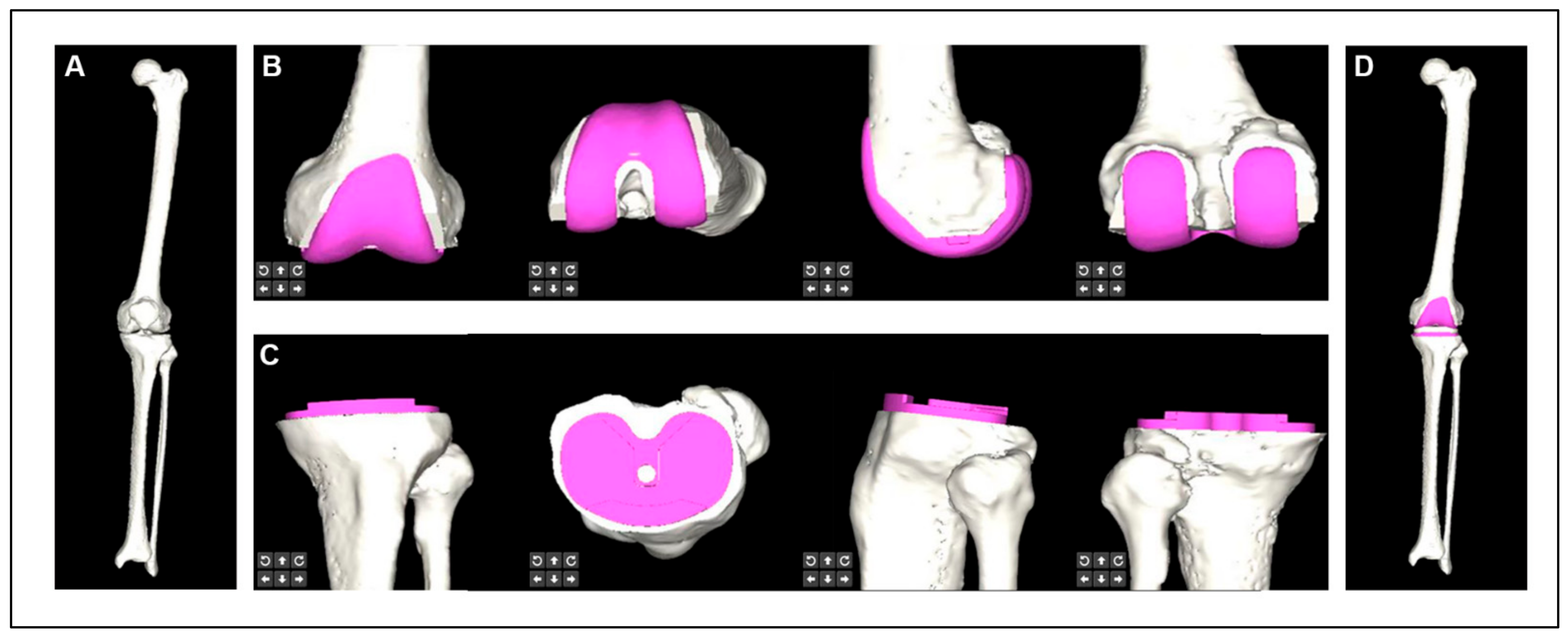 Bioengineering 10 01417 g002 Bioengineering 10 01417 g002