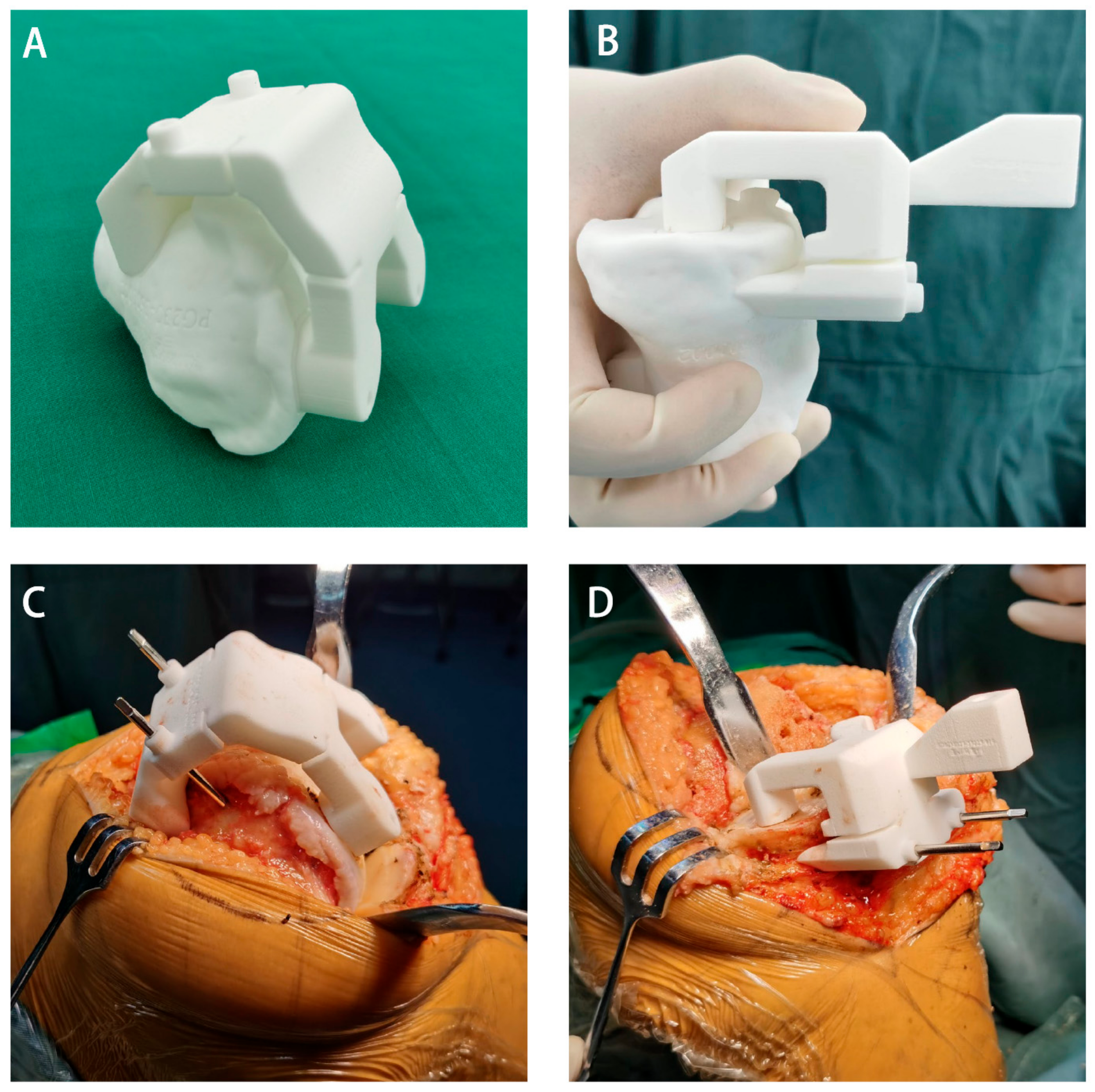 Bioengineering 10 01417 g004 Bioengineering 10 01417 g004