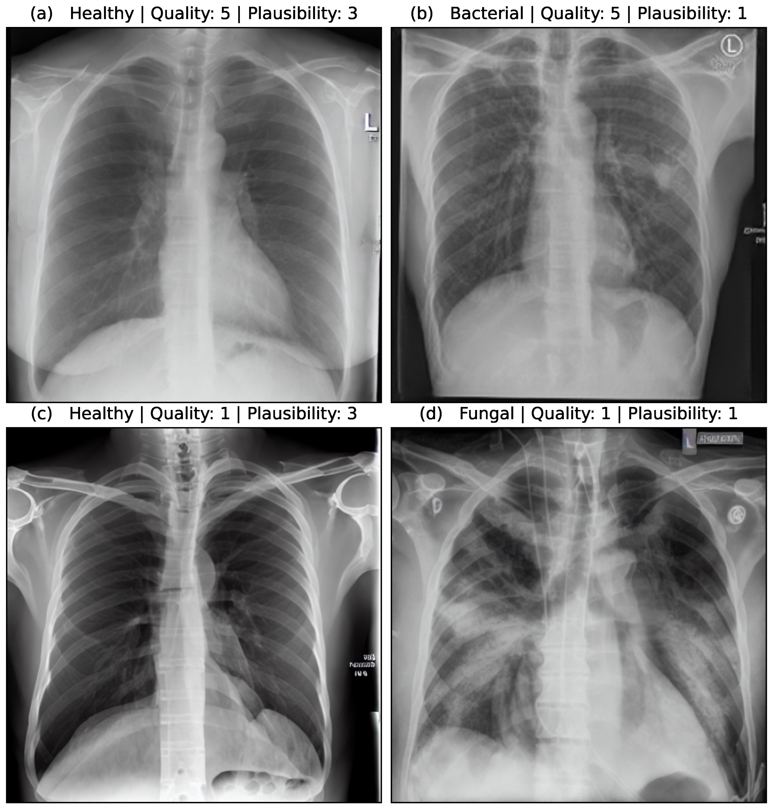Bioengineering 10 01421 g005