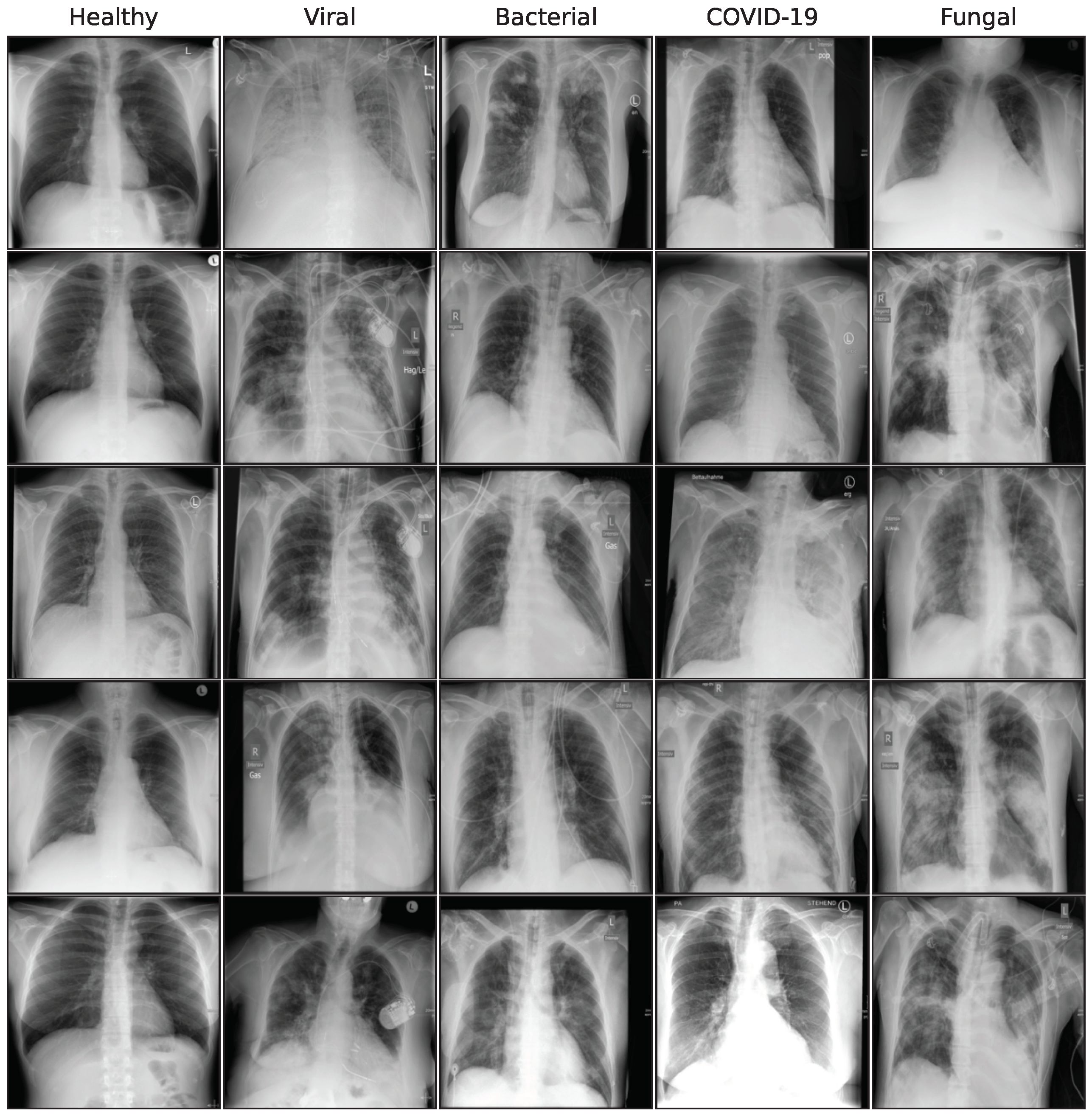 Bioengineering 10 01421 g0a1