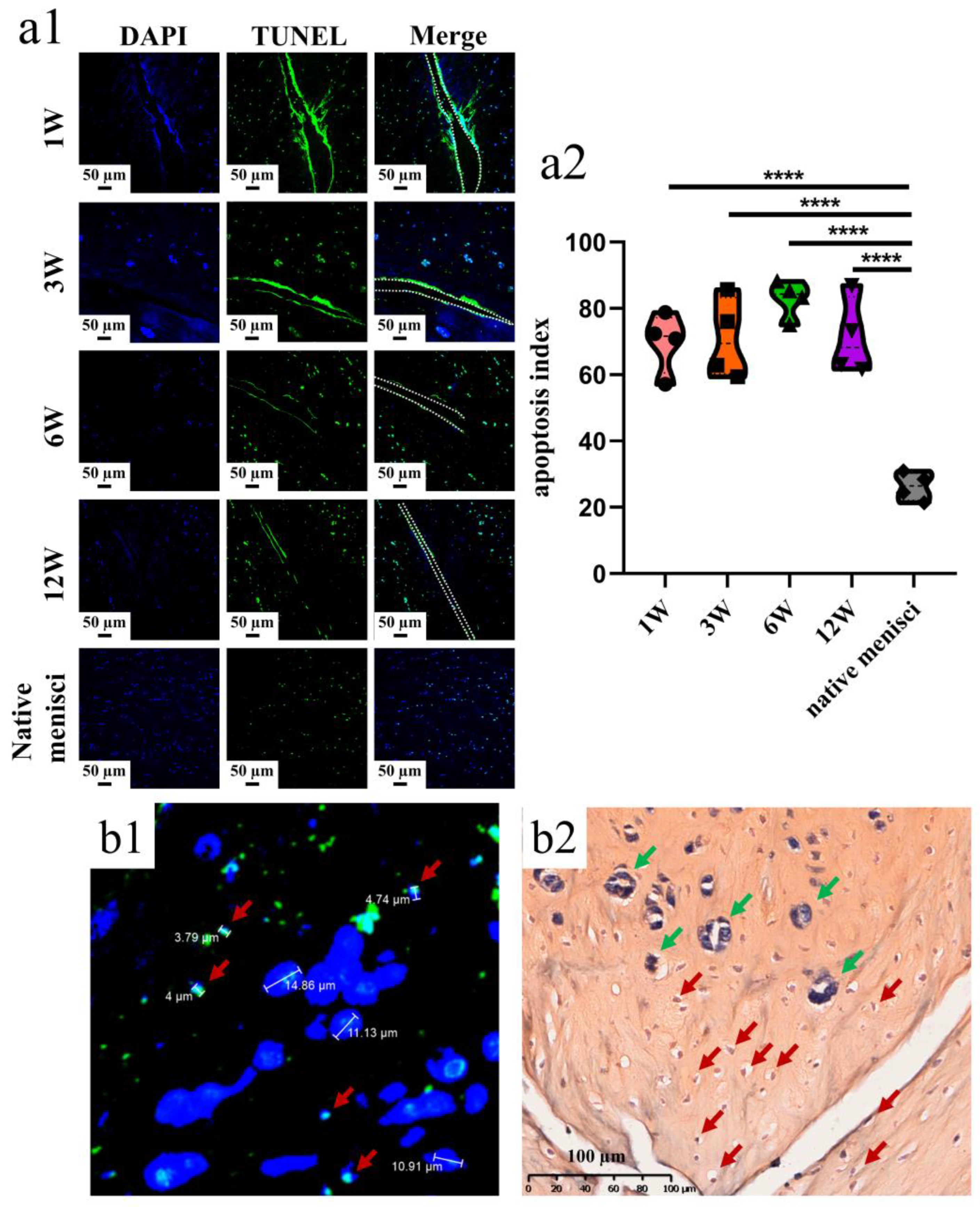 Bioengineering 10 01422 g002