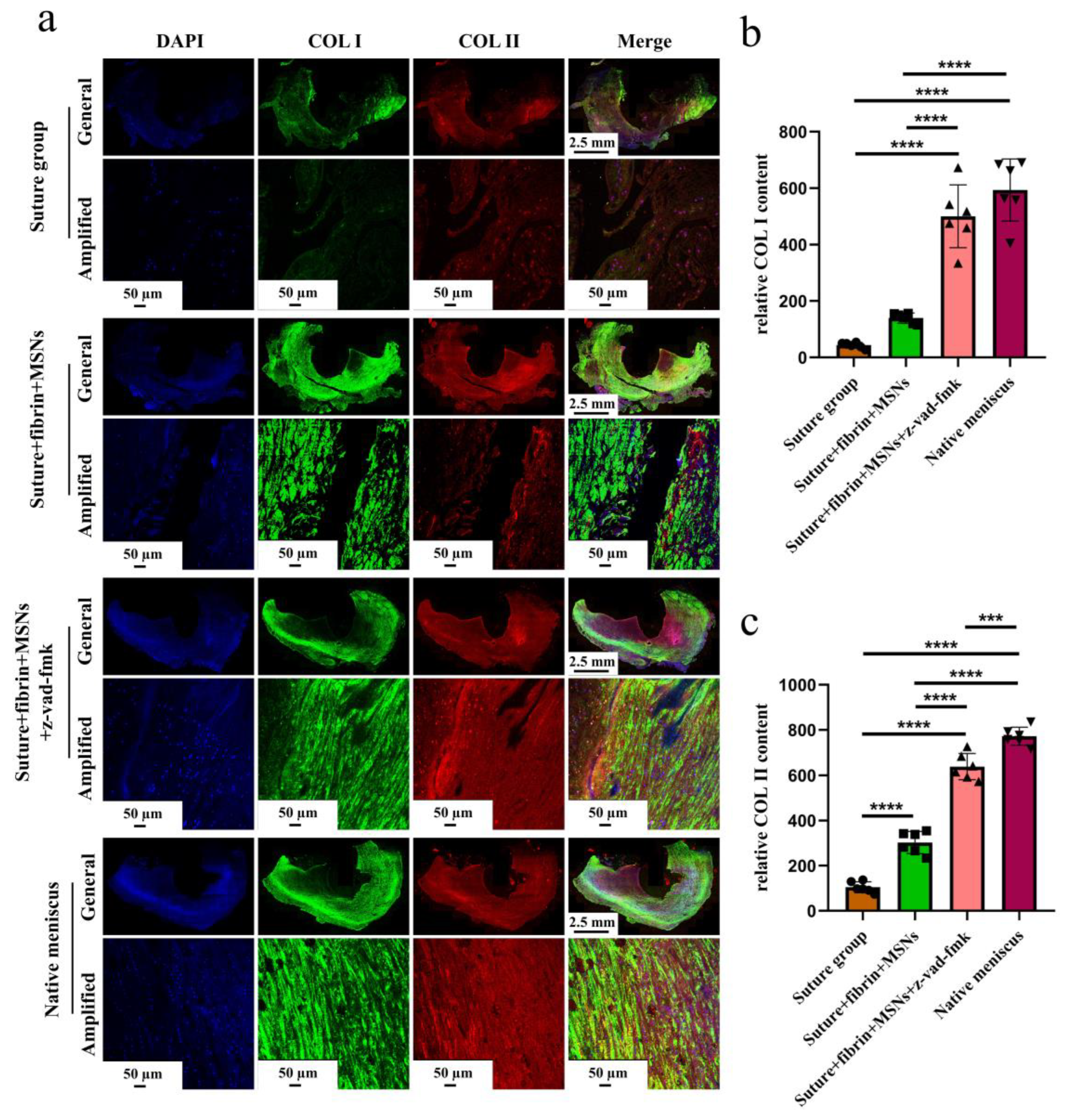 Bioengineering 10 01422 g009