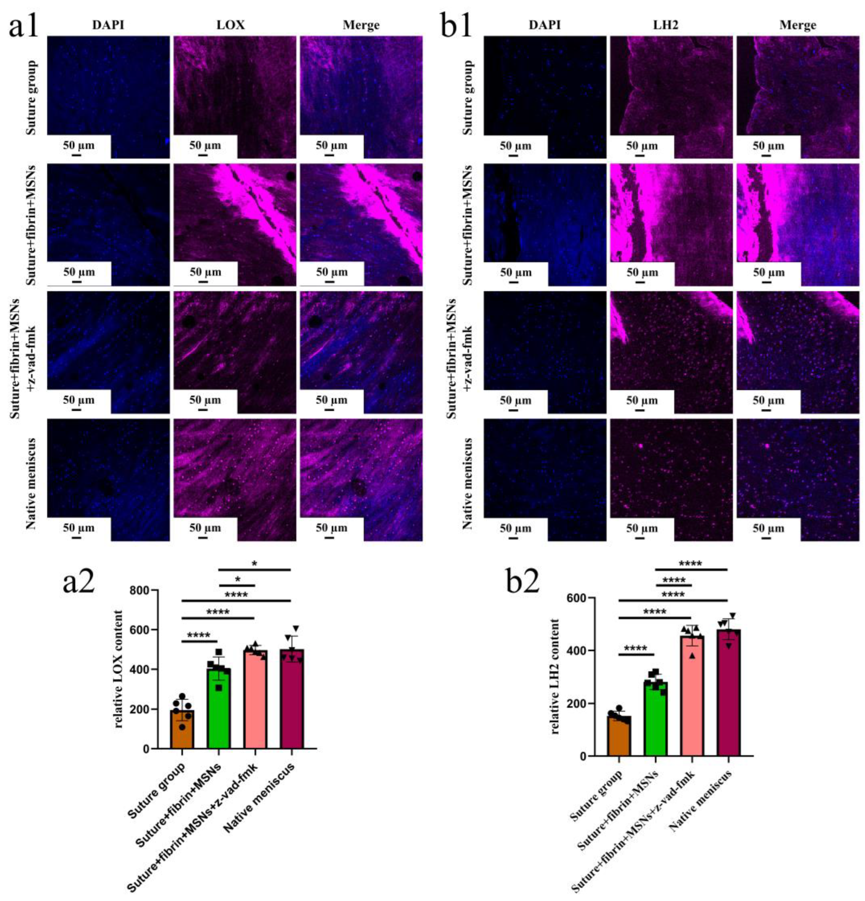 Bioengineering 10 01422 g011