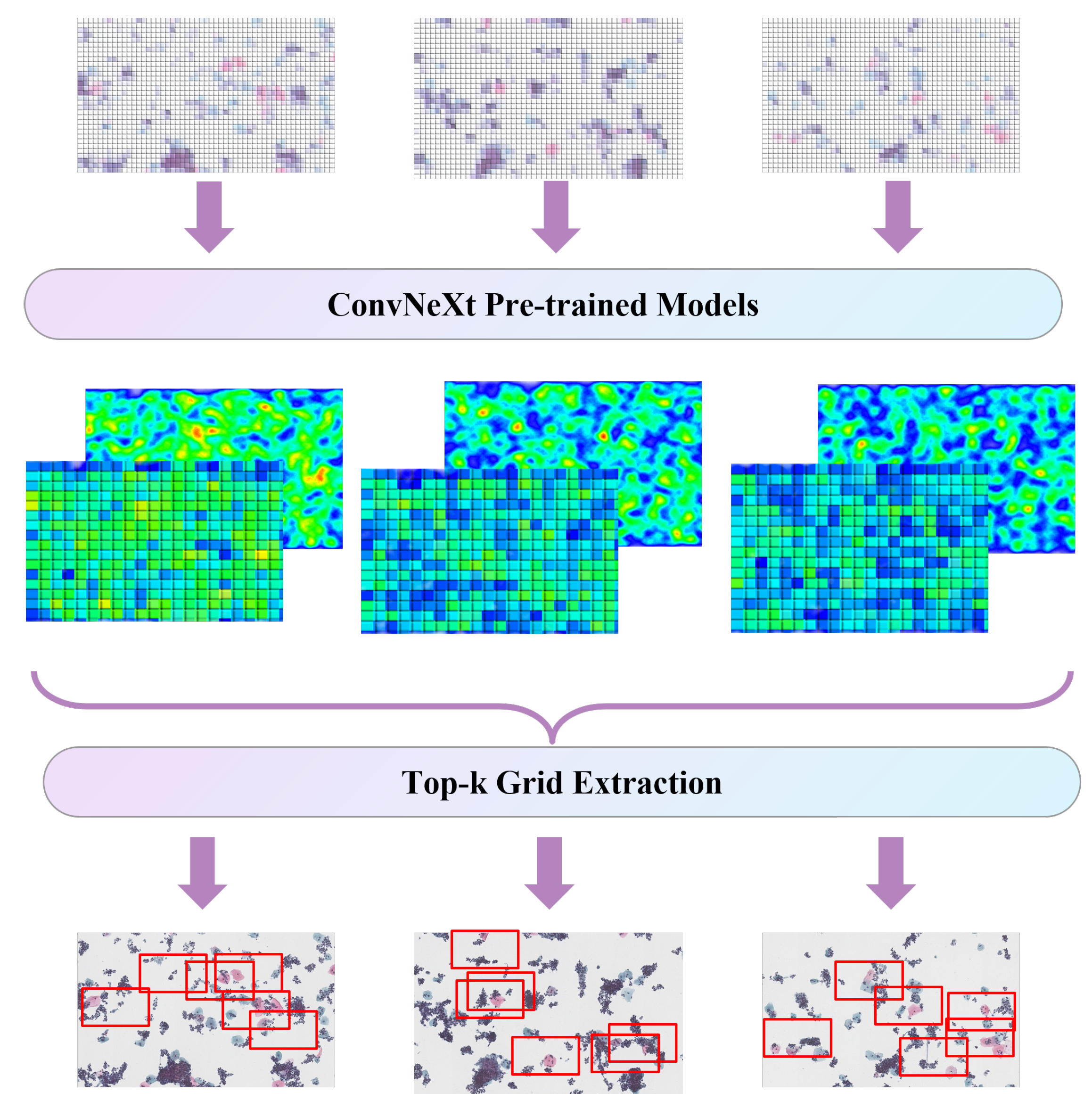 Bioengineering 10 01424 g007