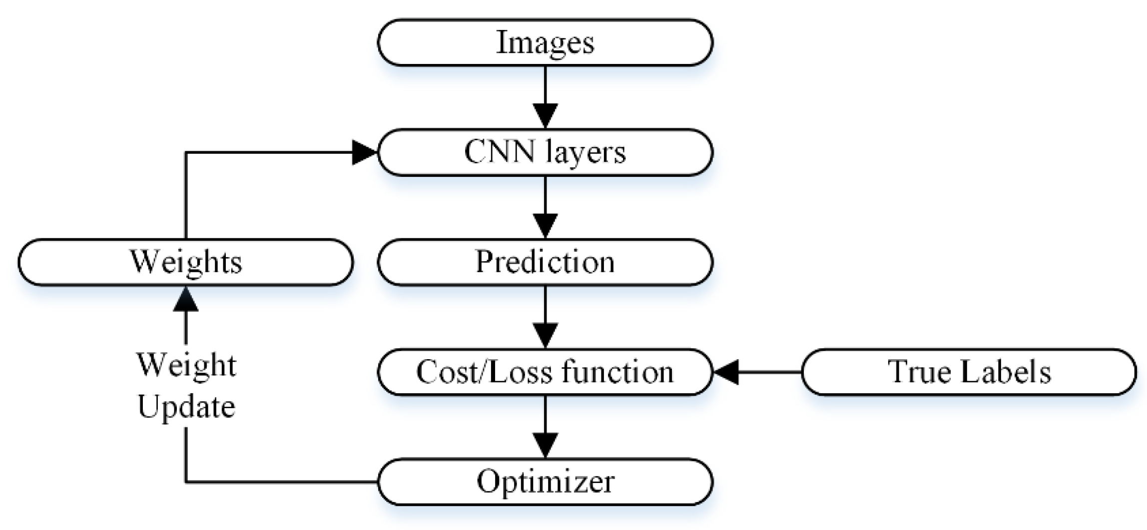 Bioengineering 10 01430 g005