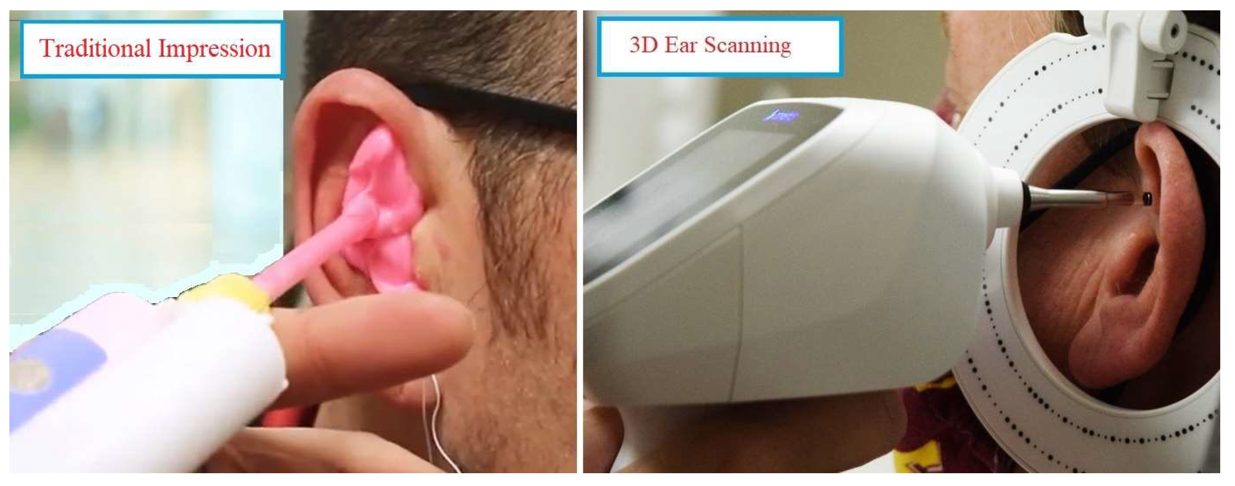 Bioengineering 10 01431 g001