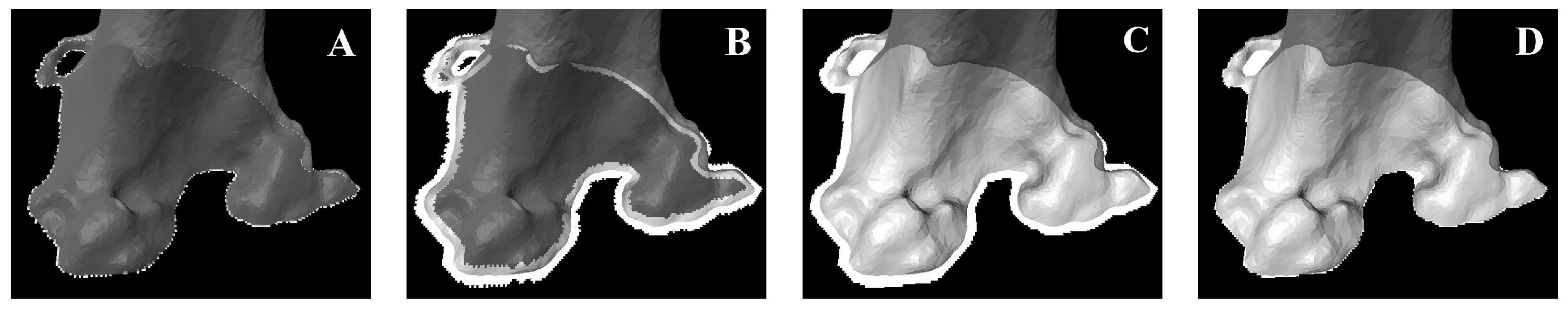 Bioengineering 10 01433 g002