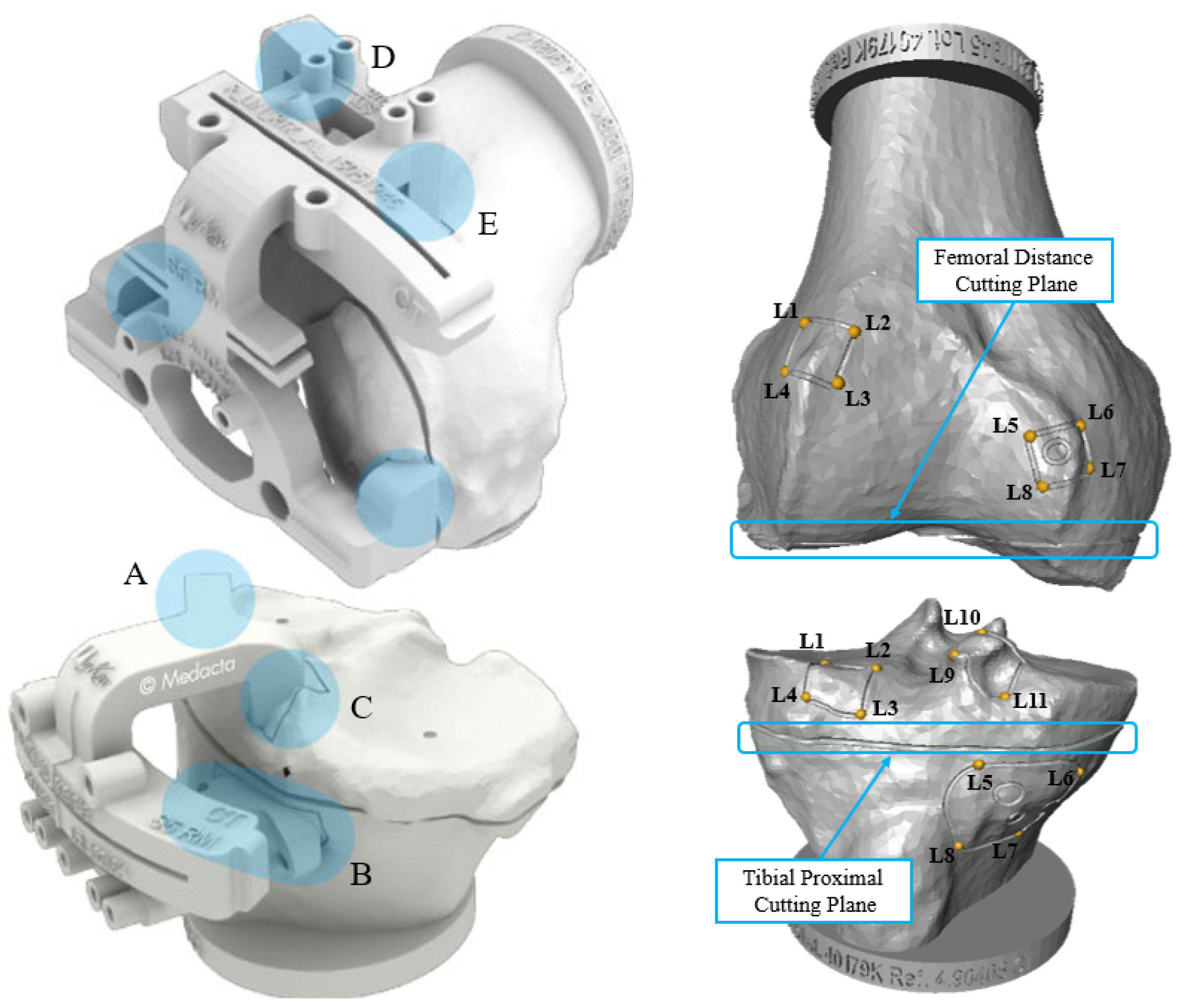 Bioengineering 10 01433 g004