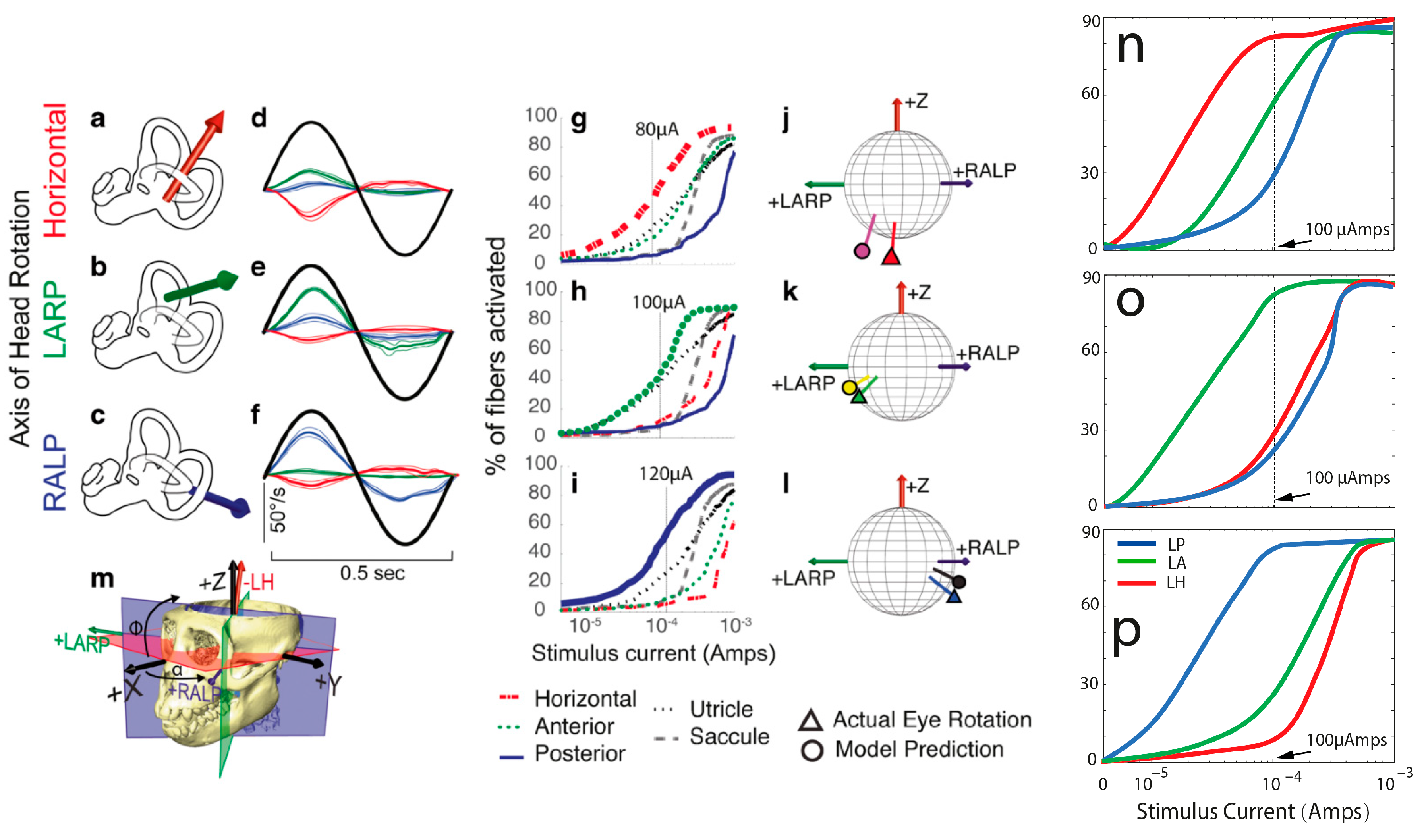 Bioengineering 10 01436 g005